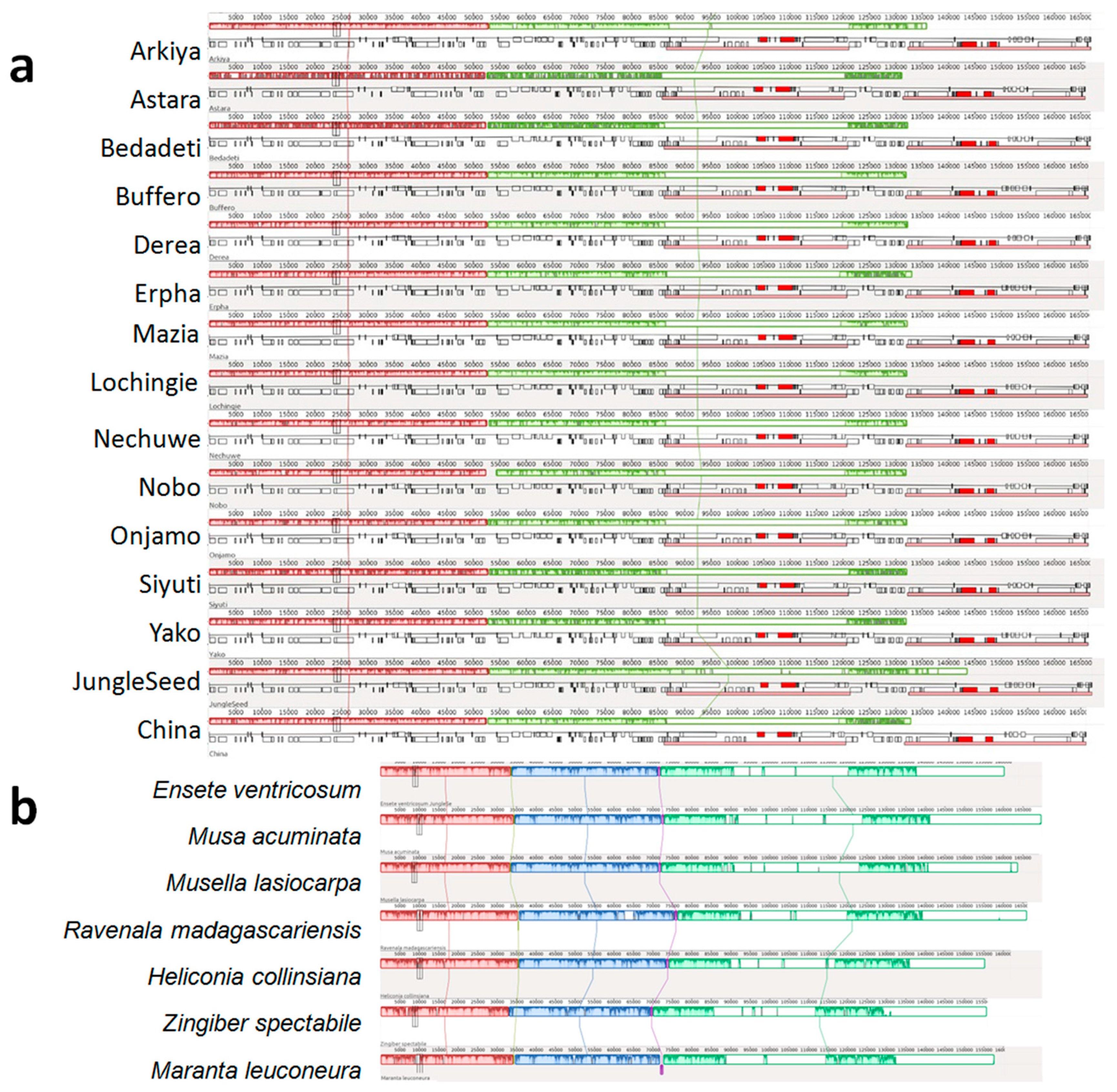 Ijms 26 09561 g002 Ijms 26 09561 g002