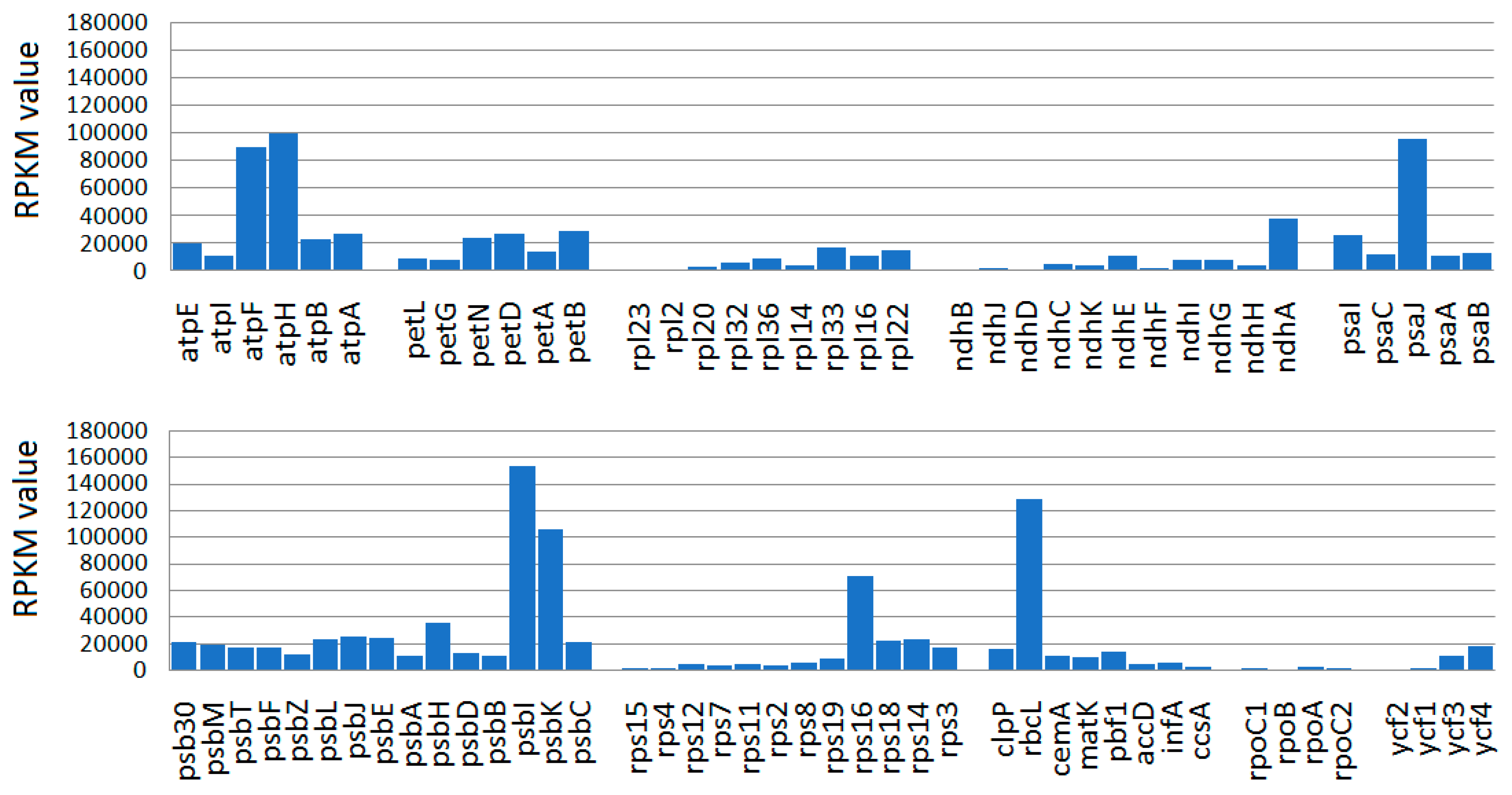 Ijms 26 09561 g005 Ijms 26 09561 g005