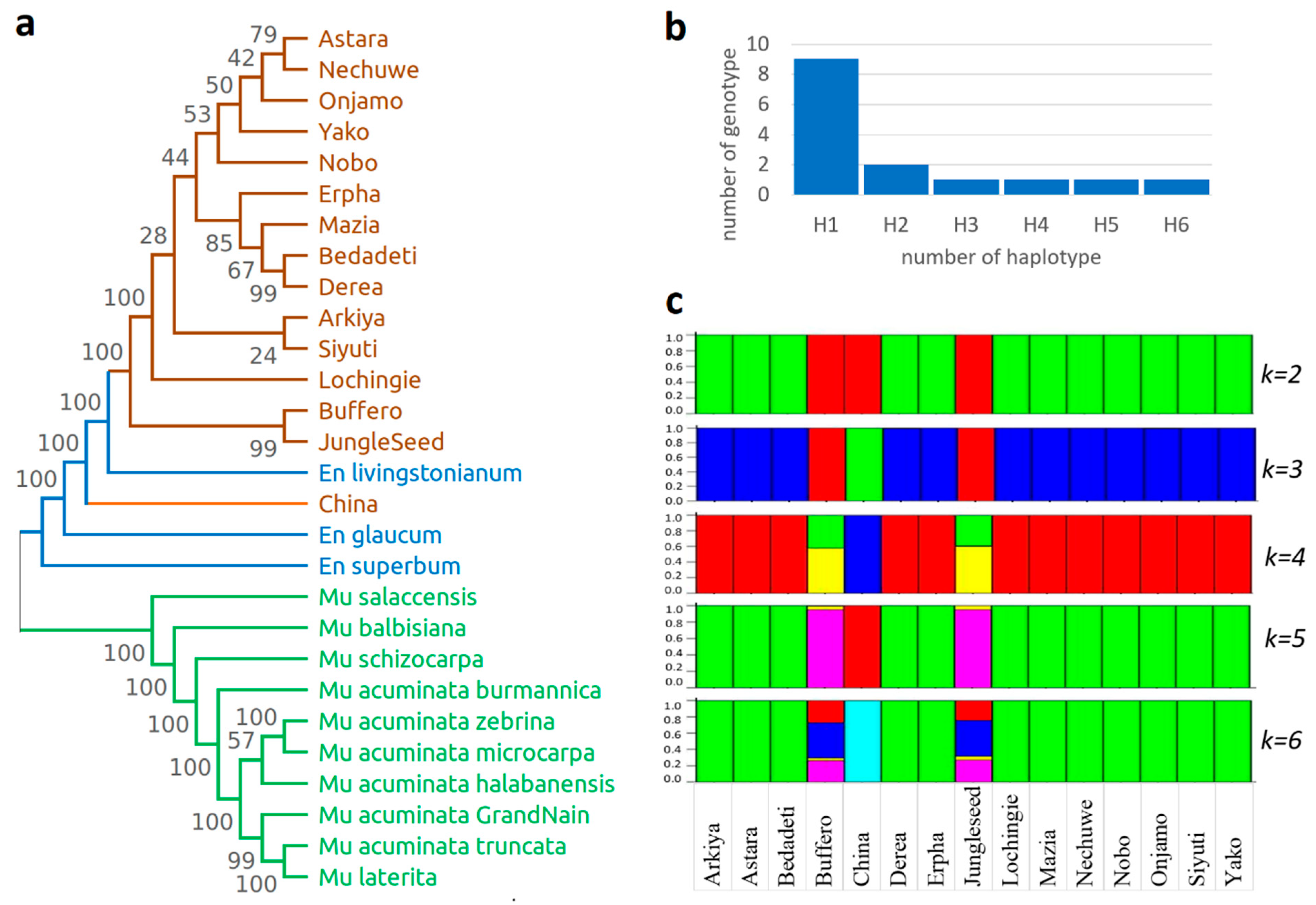 Ijms 26 09561 g006 Ijms 26 09561 g006
