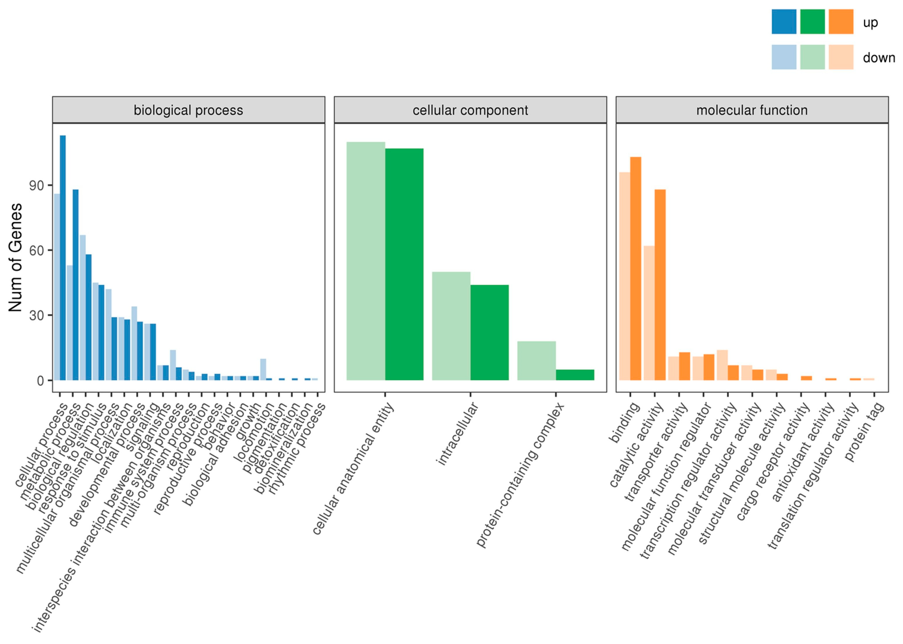 Ijms 26 09563 g004 Ijms 26 09563 g004