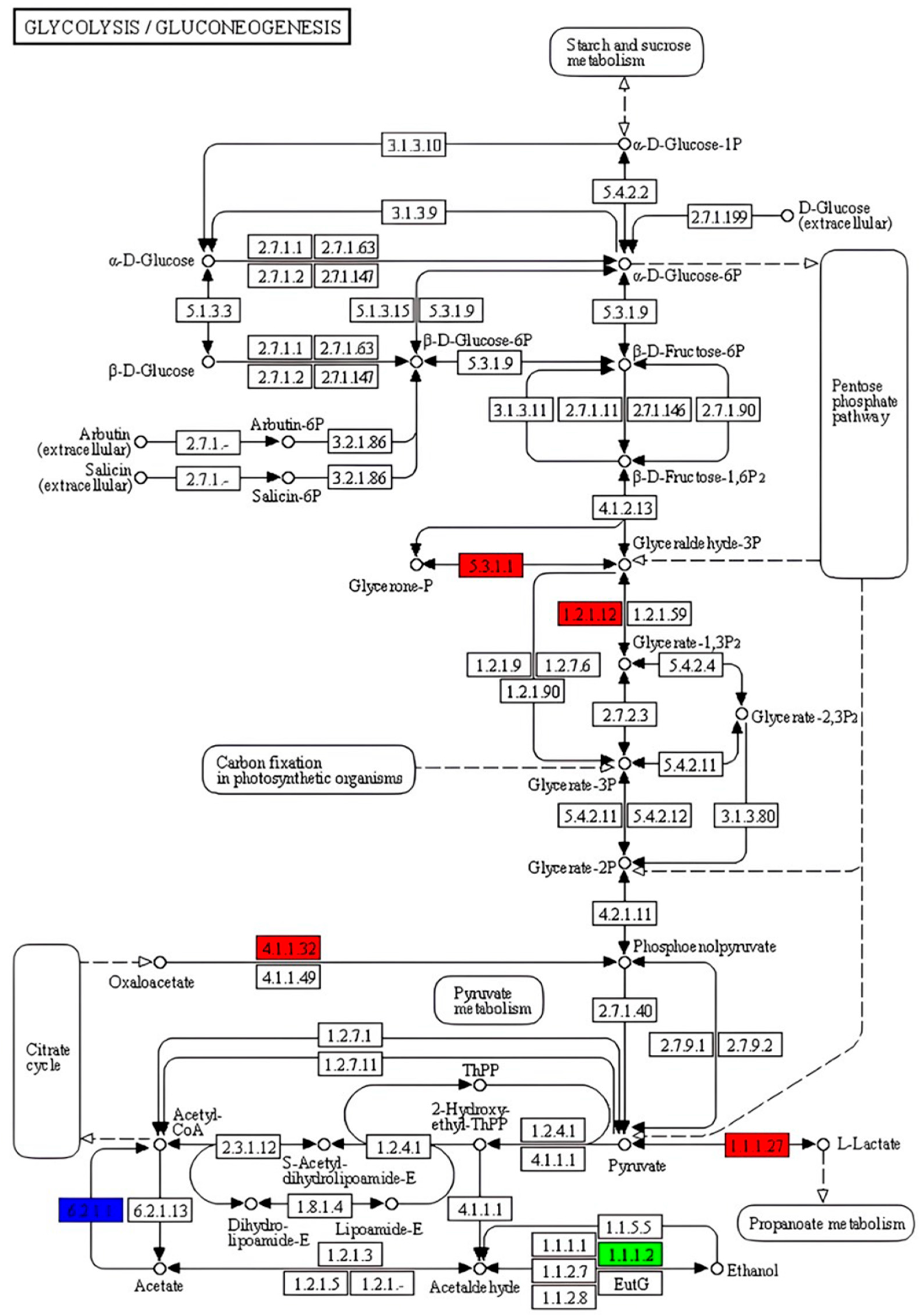 Ijms 26 09563 g006 Ijms 26 09563 g006