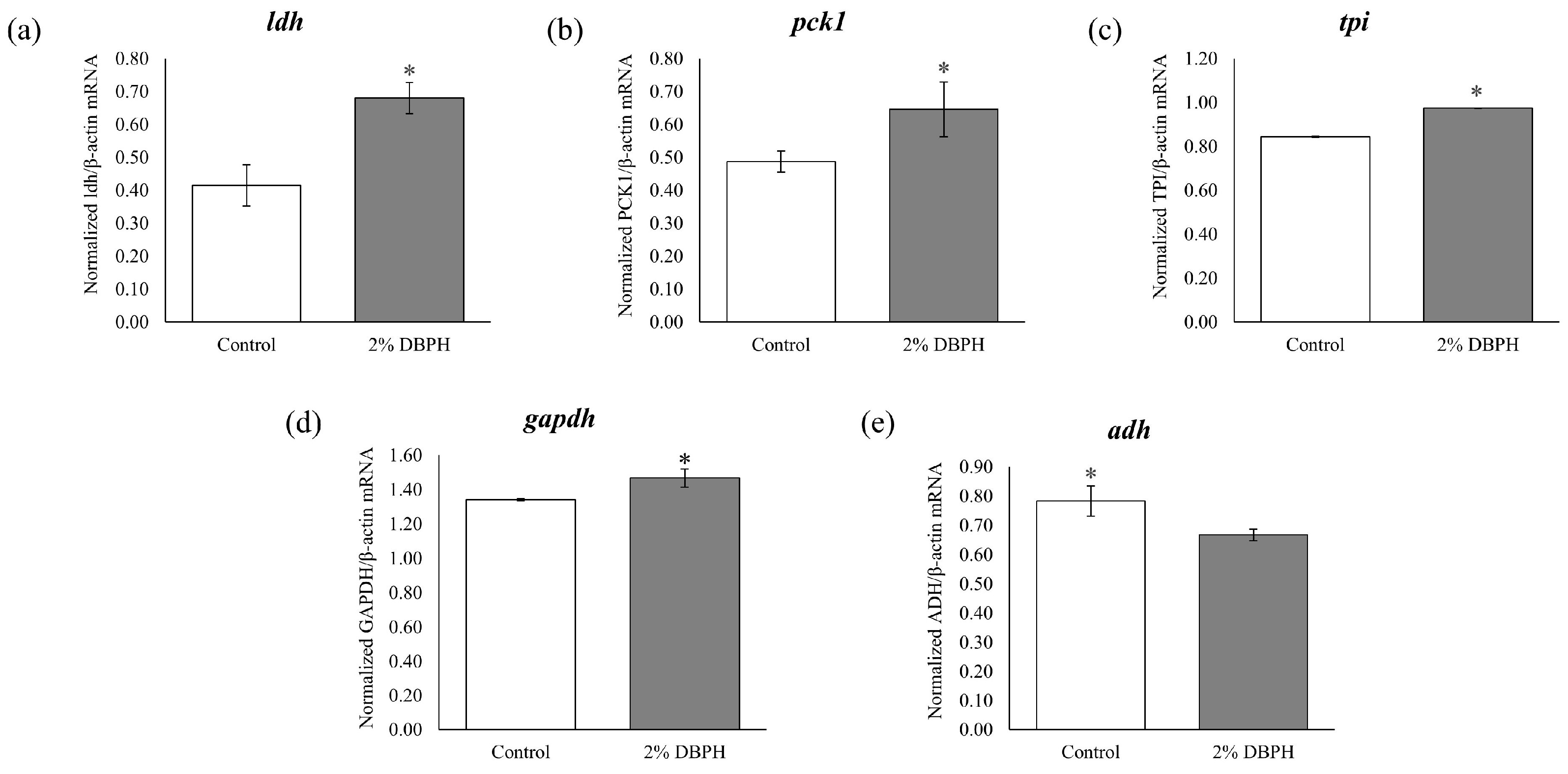 Ijms 26 09563 g007 Ijms 26 09563 g007