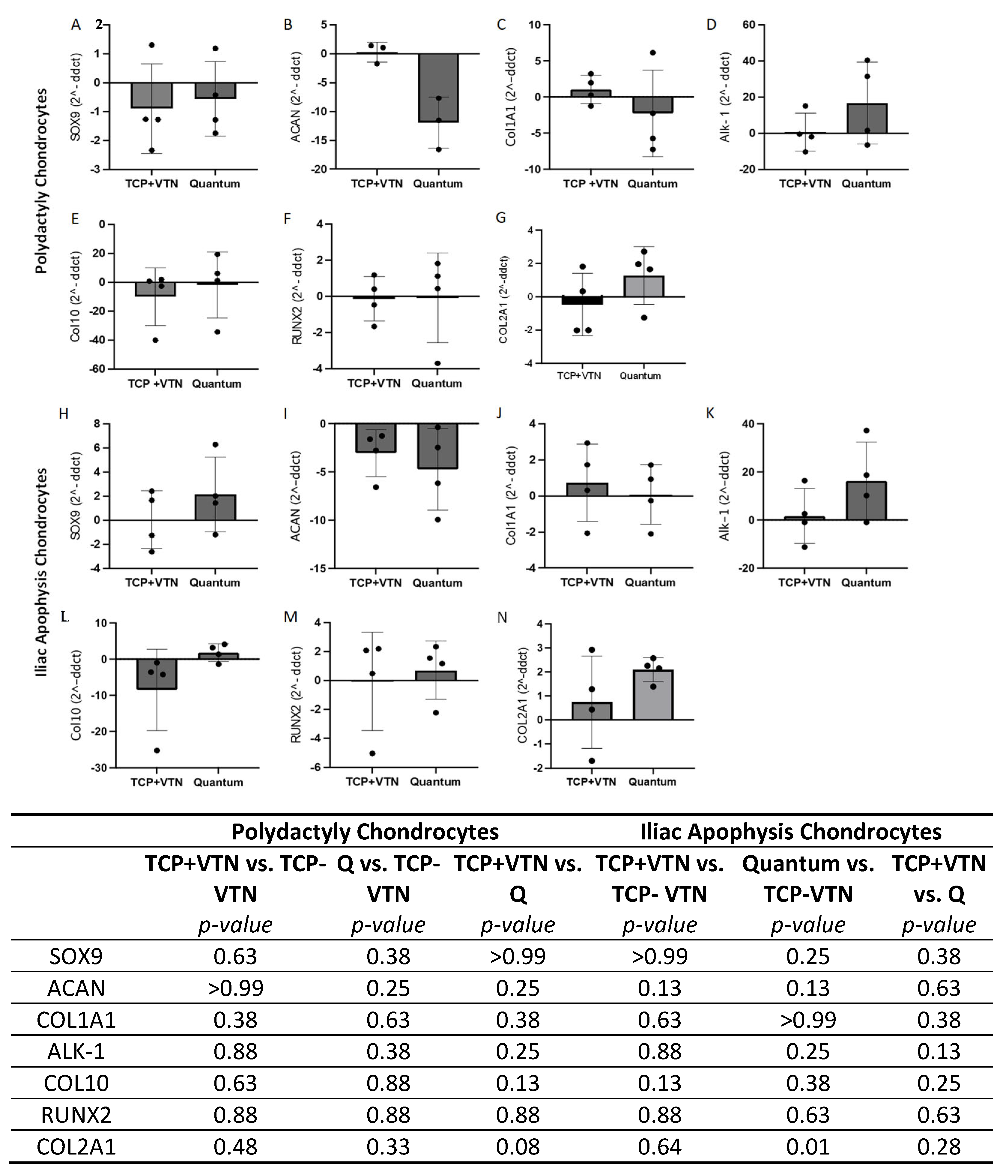 Ijms 26 09566 g006 Ijms 26 09566 g006