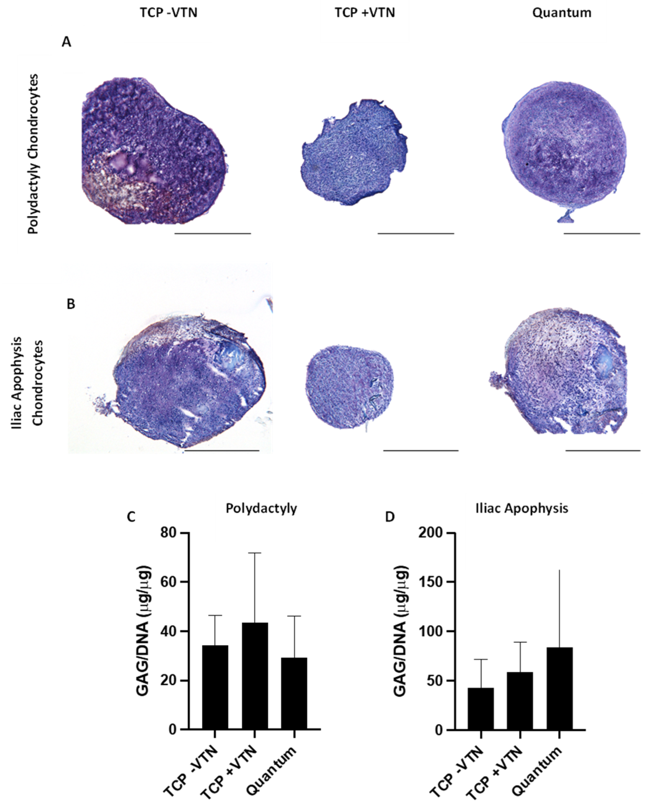 Ijms 26 09566 g007 Ijms 26 09566 g007