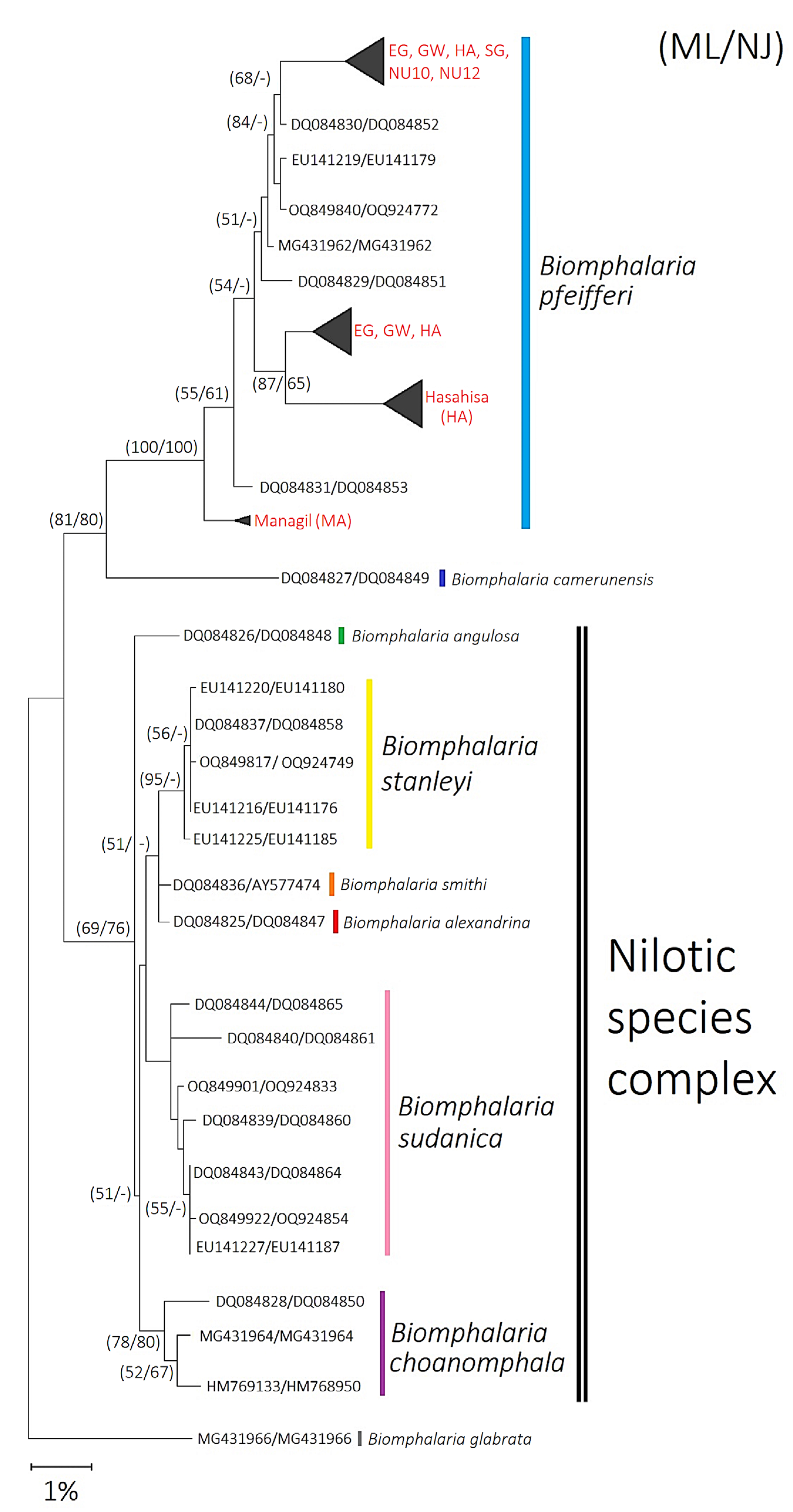 Ijms 26 09567 g001 Ijms 26 09567 g001