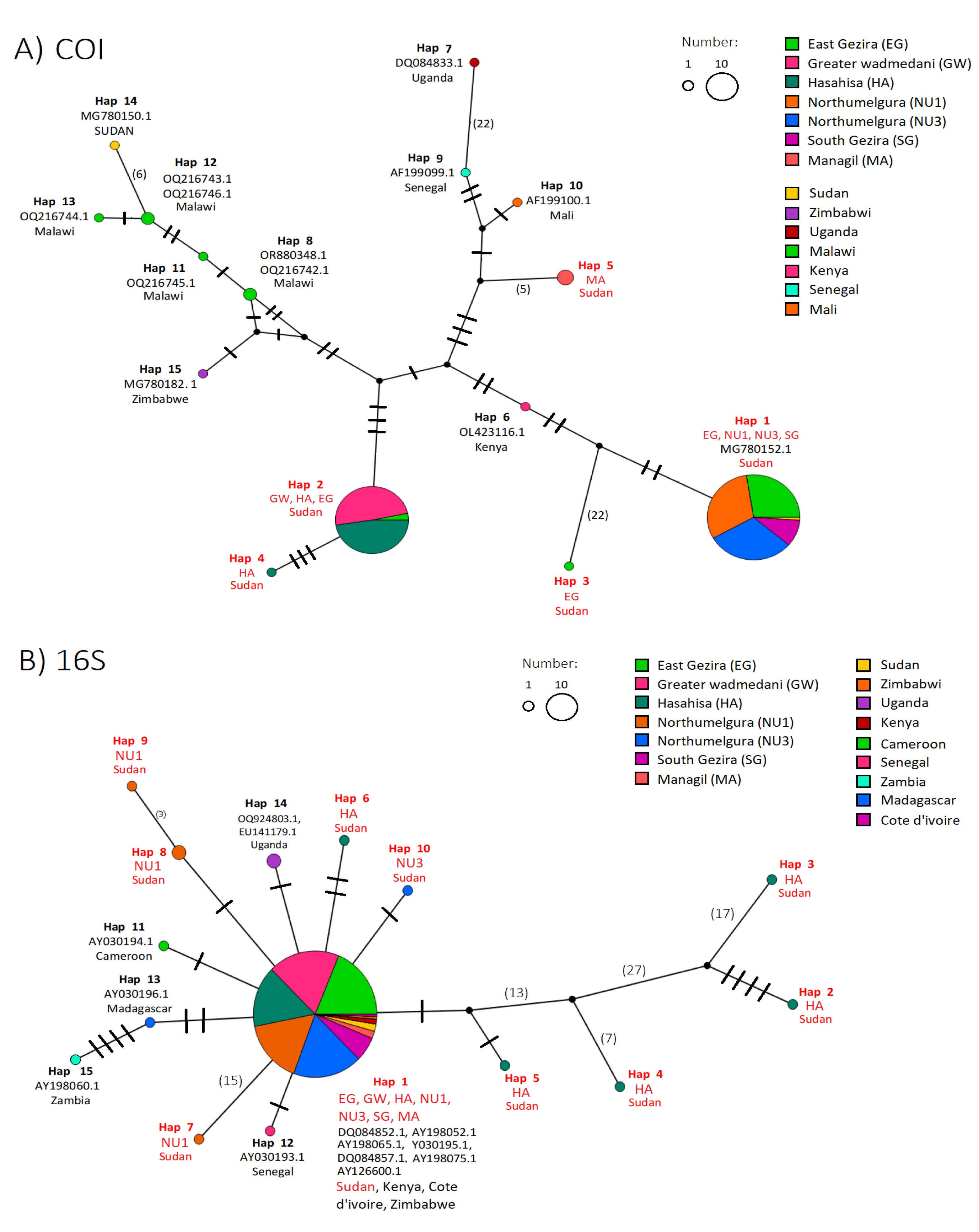 Ijms 26 09567 g002a Ijms 26 09567 g002a