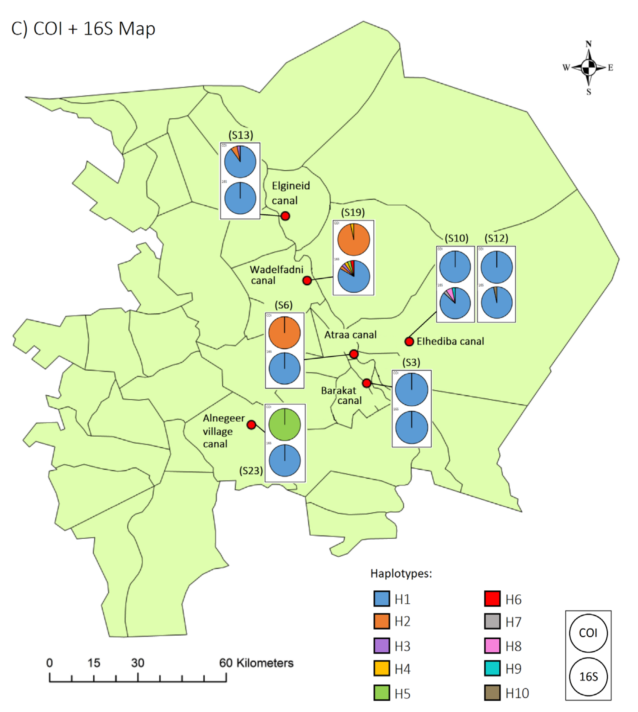 Ijms 26 09567 g002b Ijms 26 09567 g002b