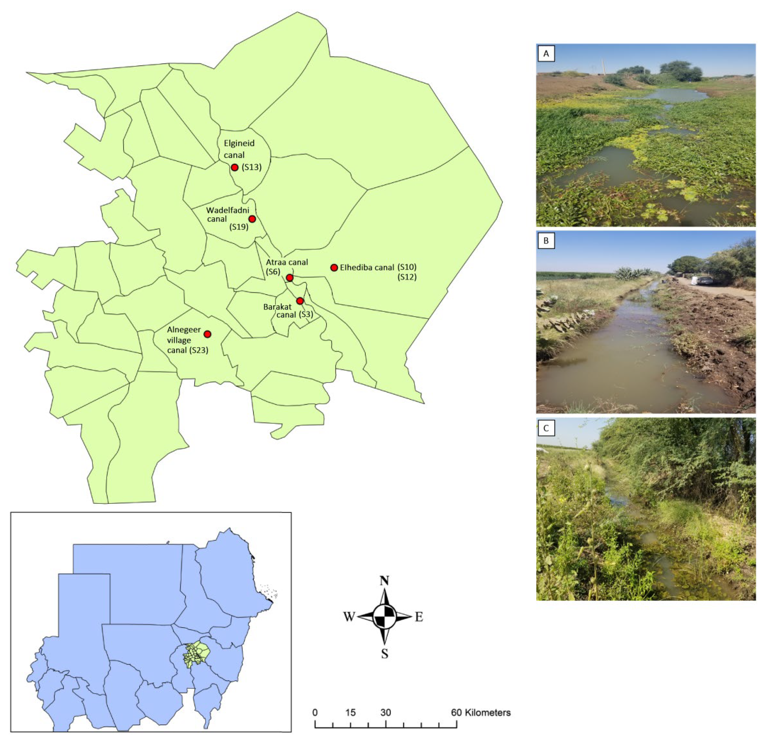 Ijms 26 09567 g004 Ijms 26 09567 g004