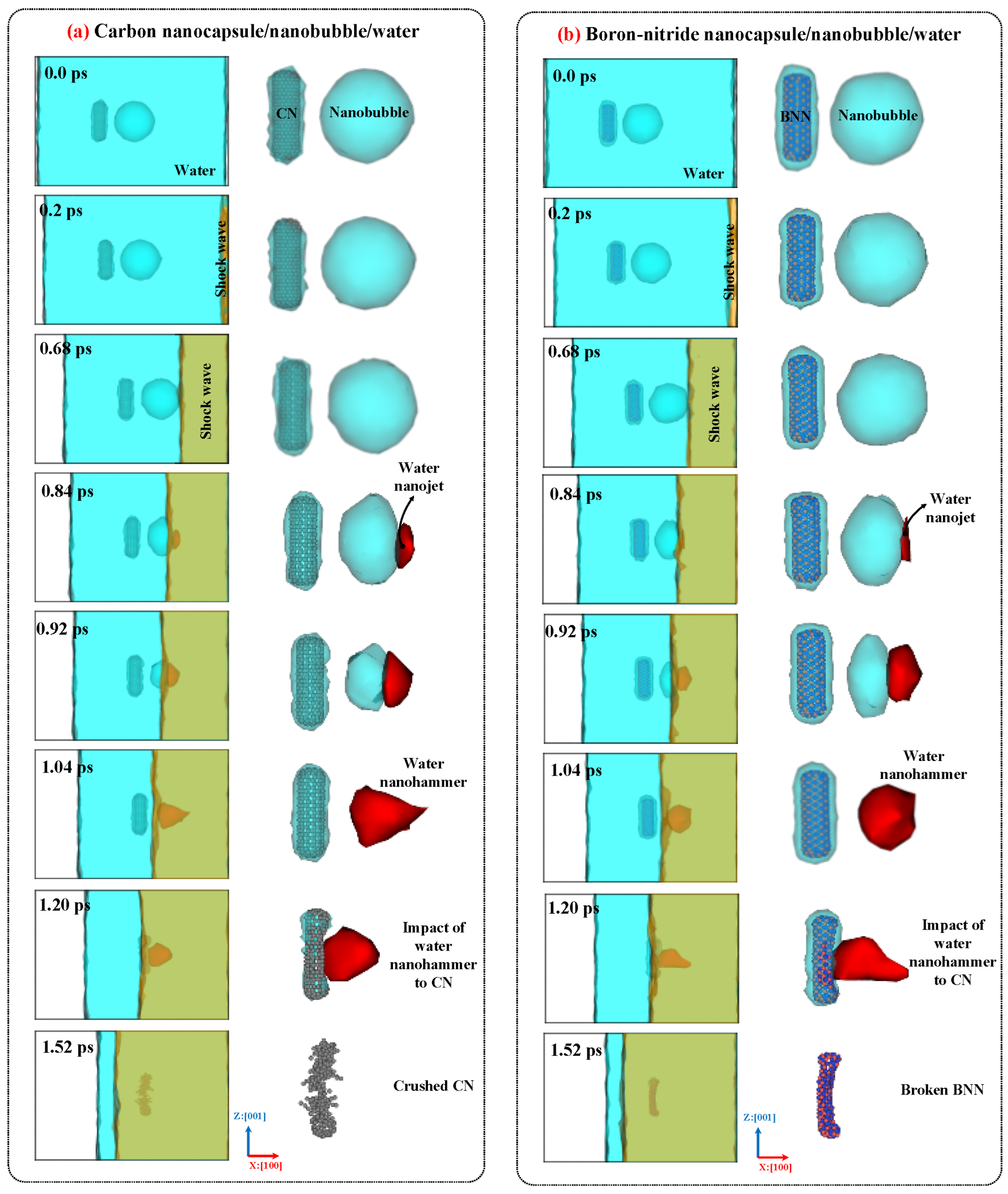 Ijms 26 09582 g006 Ijms 26 09582 g006