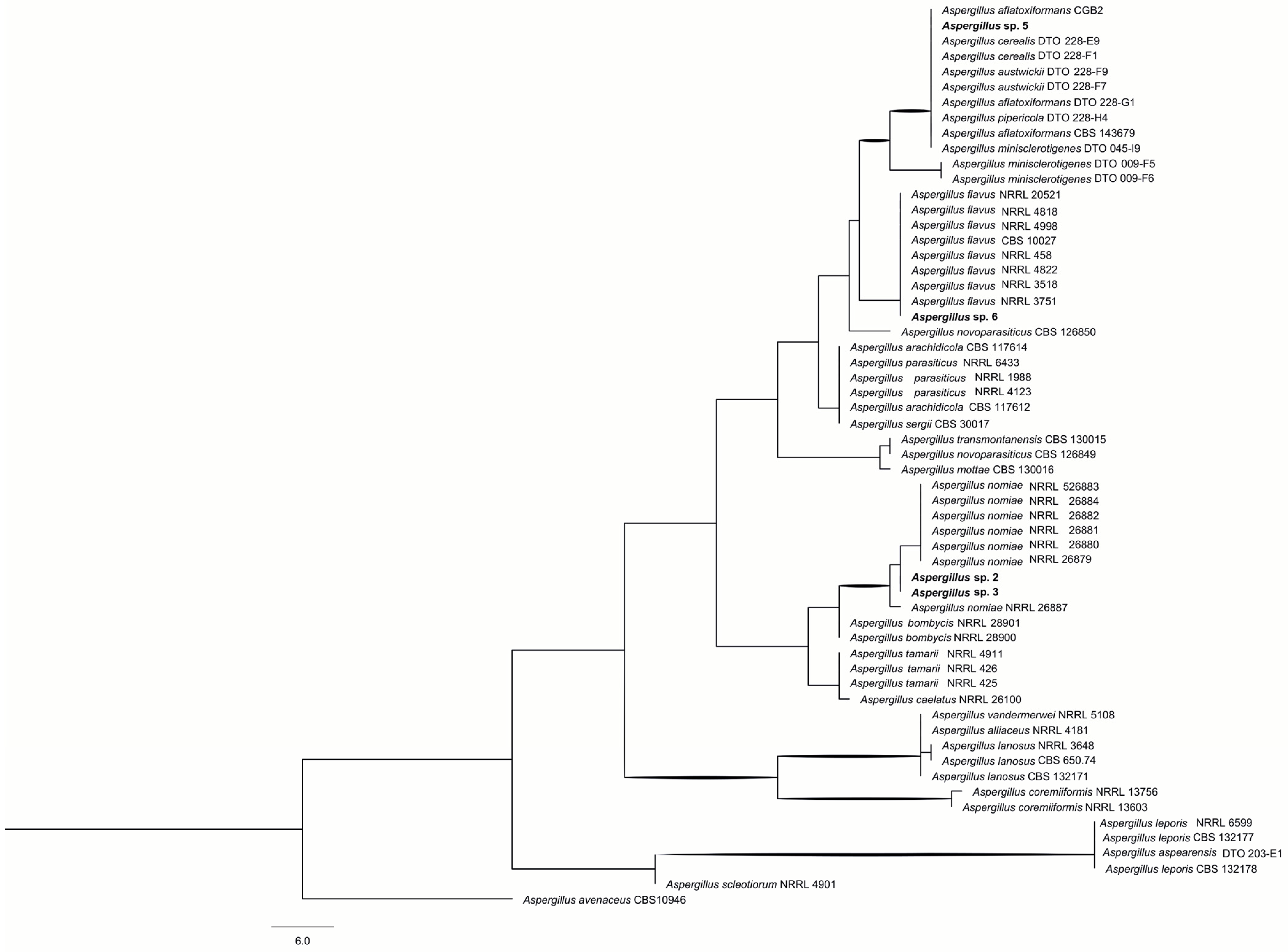 Ijms 26 09592 g001 Ijms 26 09592 g001