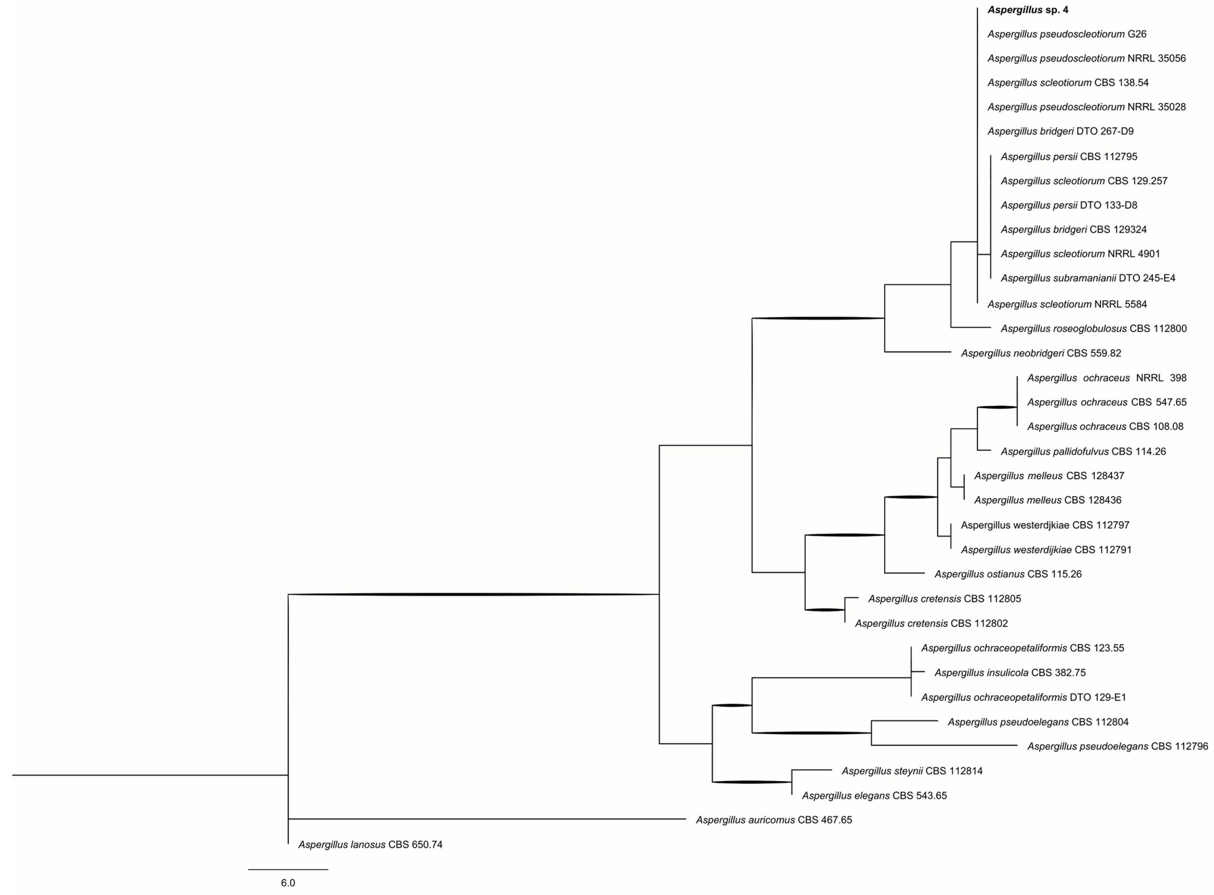 Ijms 26 09592 g002 Ijms 26 09592 g002