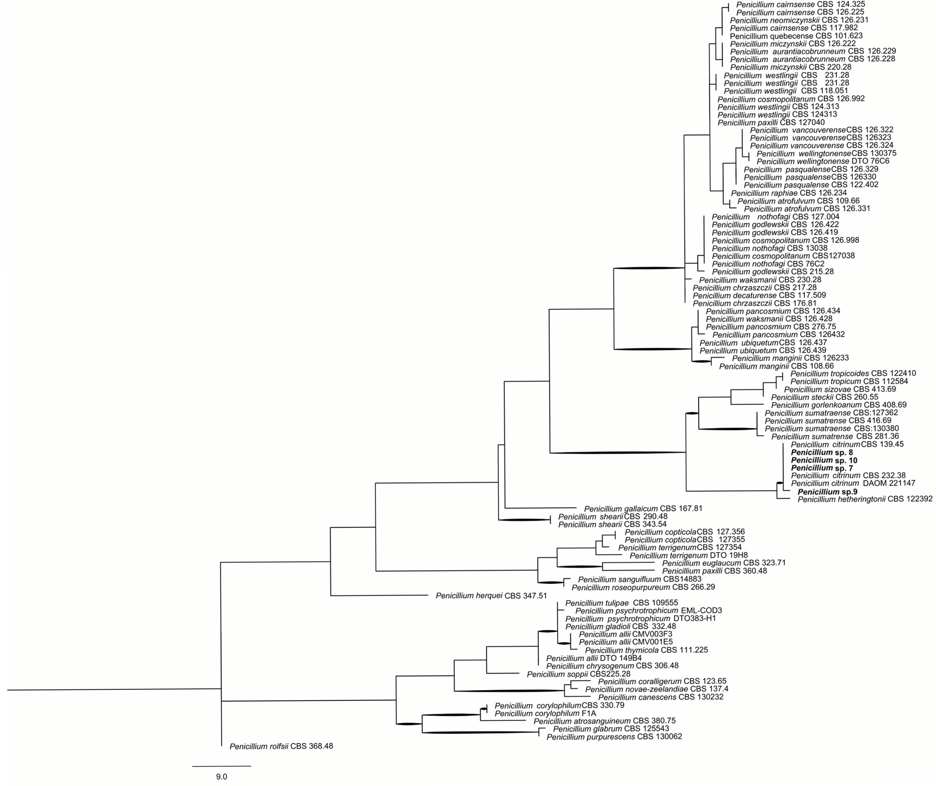 Ijms 26 09592 g003 Ijms 26 09592 g003