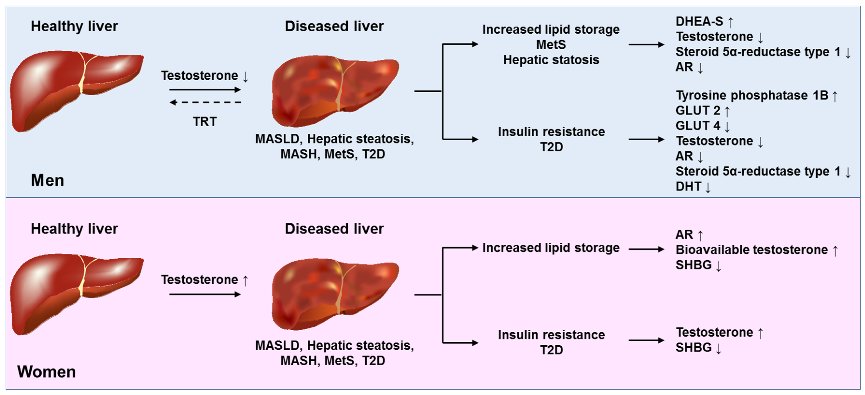 Ijms 26 09594 g003 Ijms 26 09594 g003