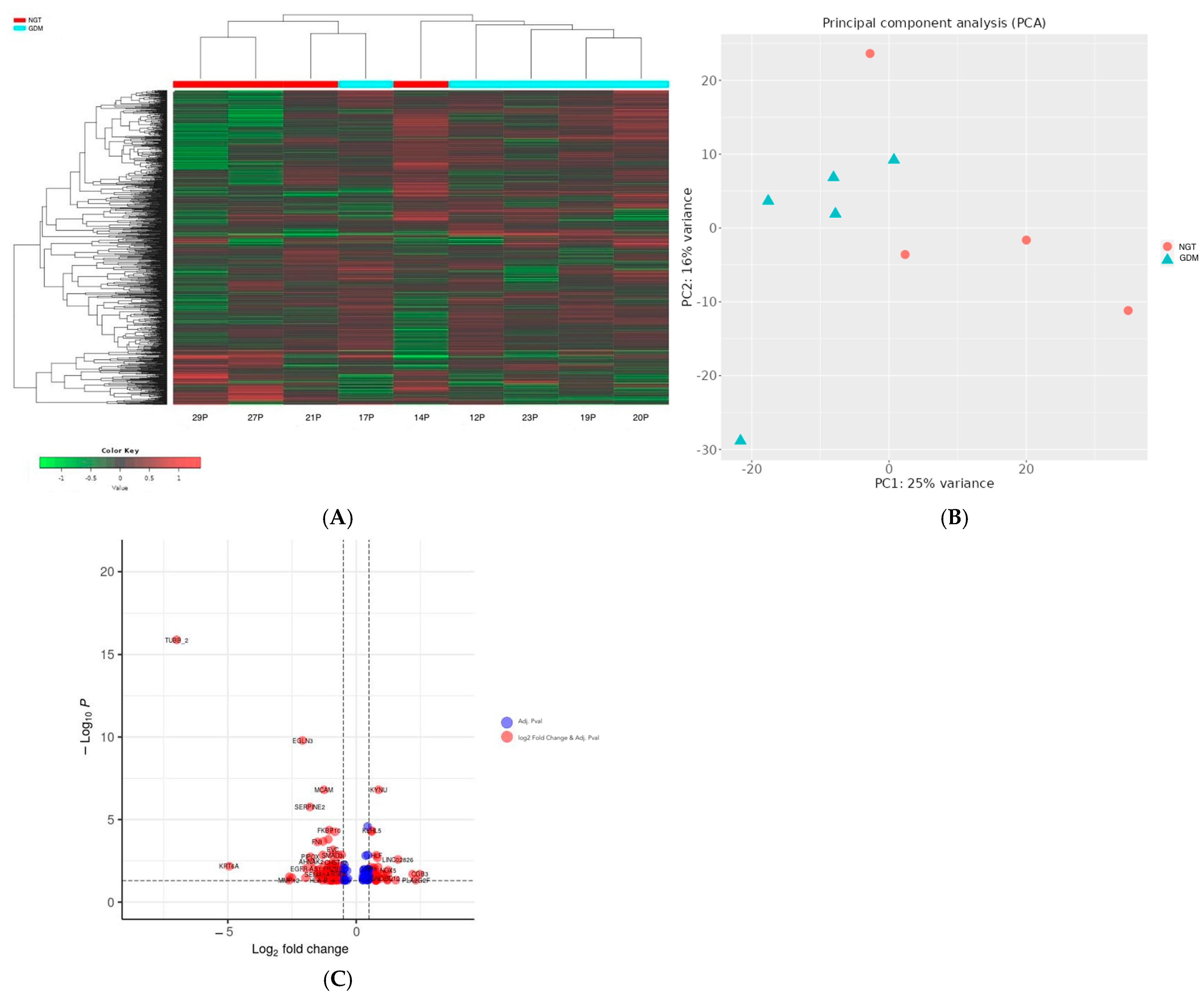 Ijms 26 09595 g001 Ijms 26 09595 g001