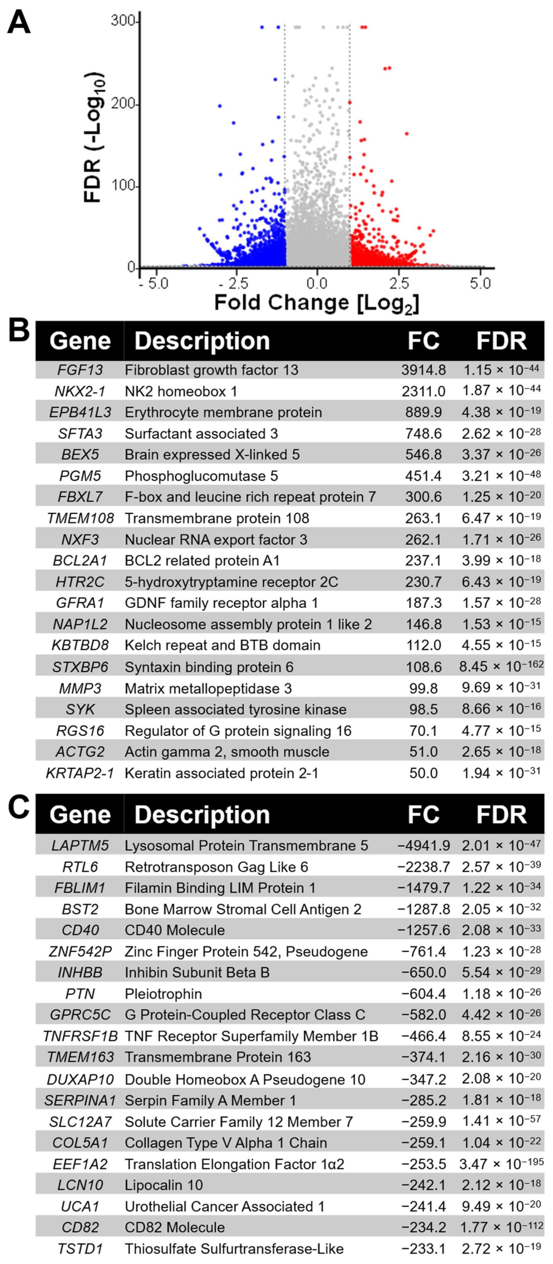Ijms 26 09611 g001 Ijms 26 09611 g001