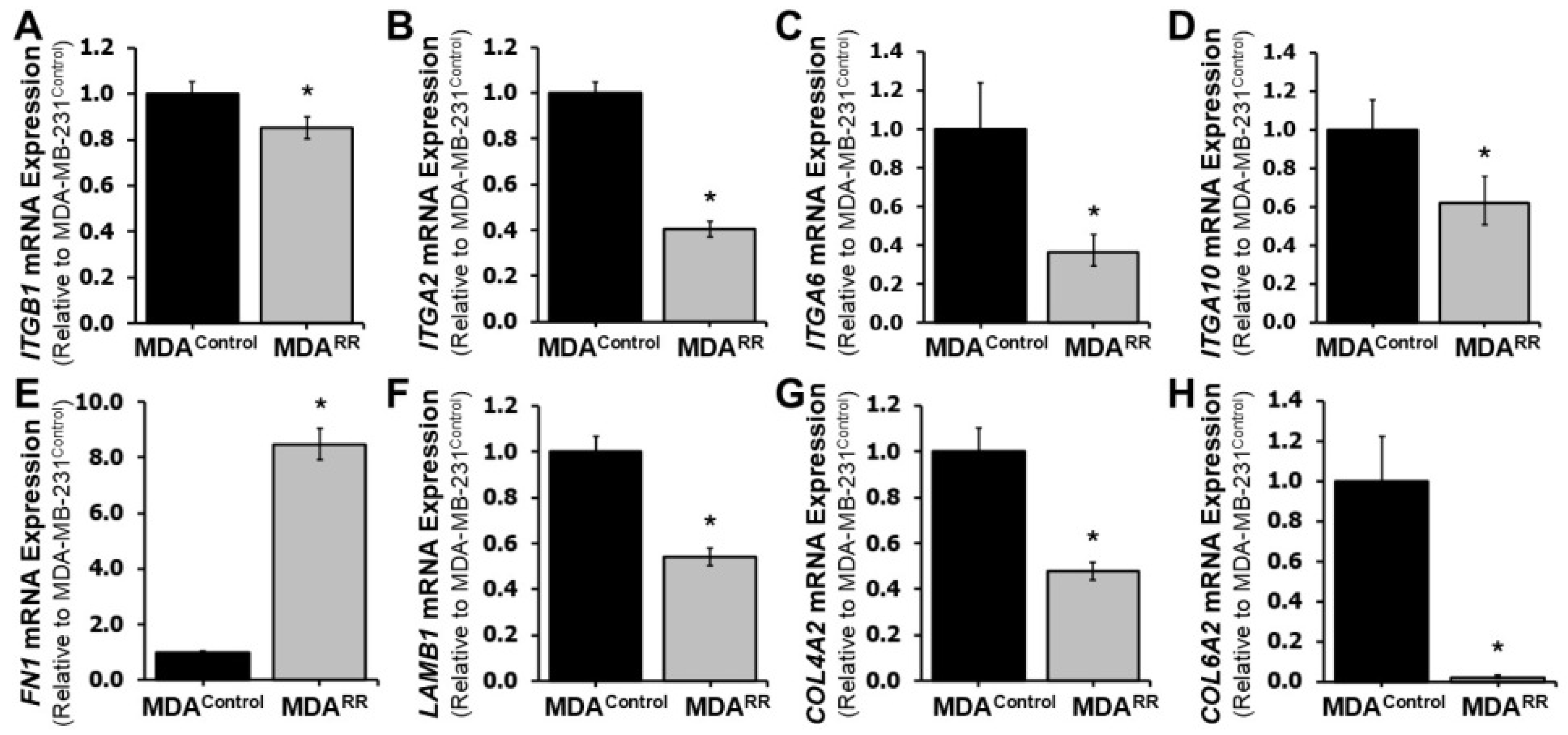 Ijms 26 09611 g002 Ijms 26 09611 g002