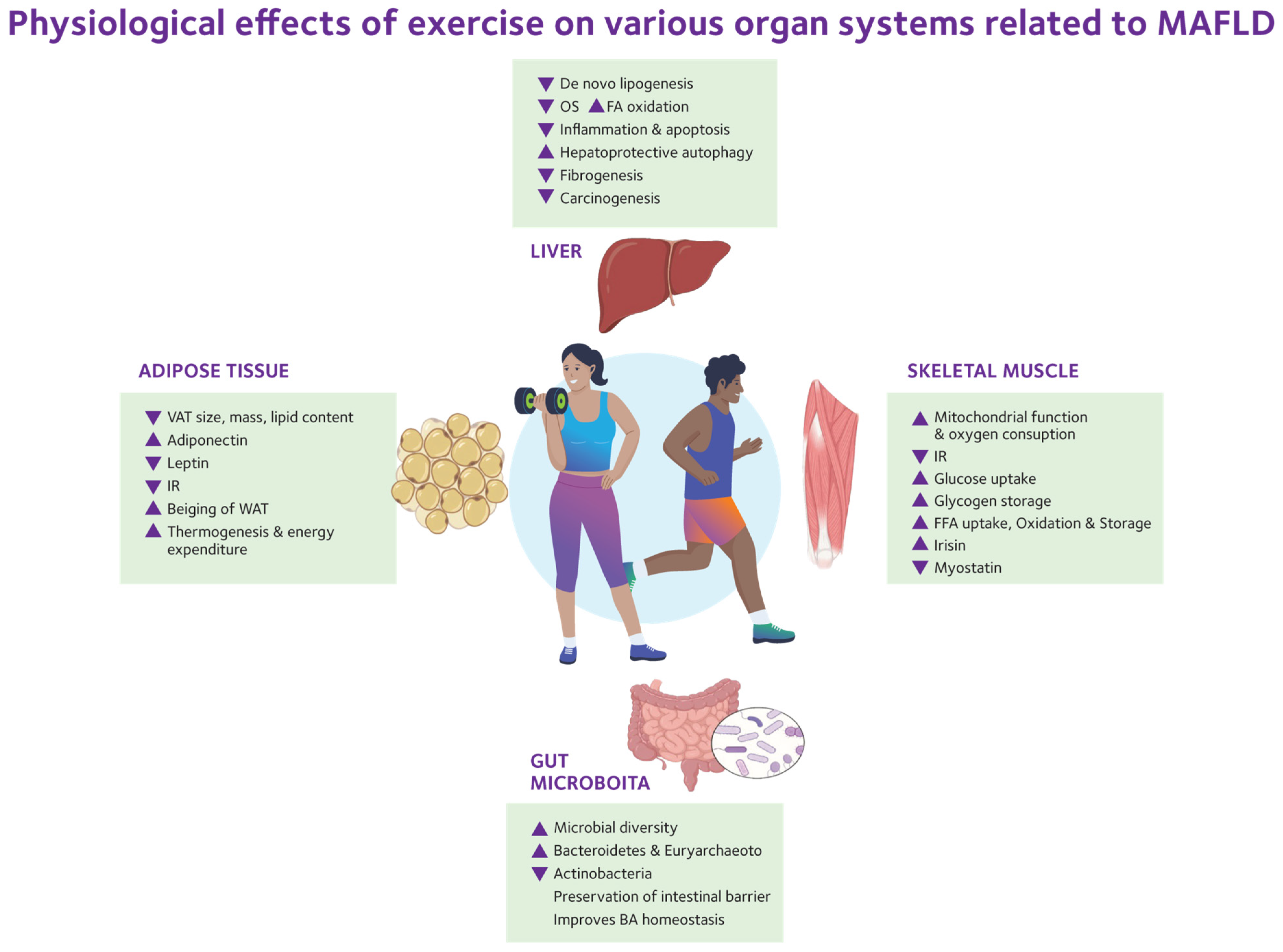 Ijms 26 09625 g002 Ijms 26 09625 g002