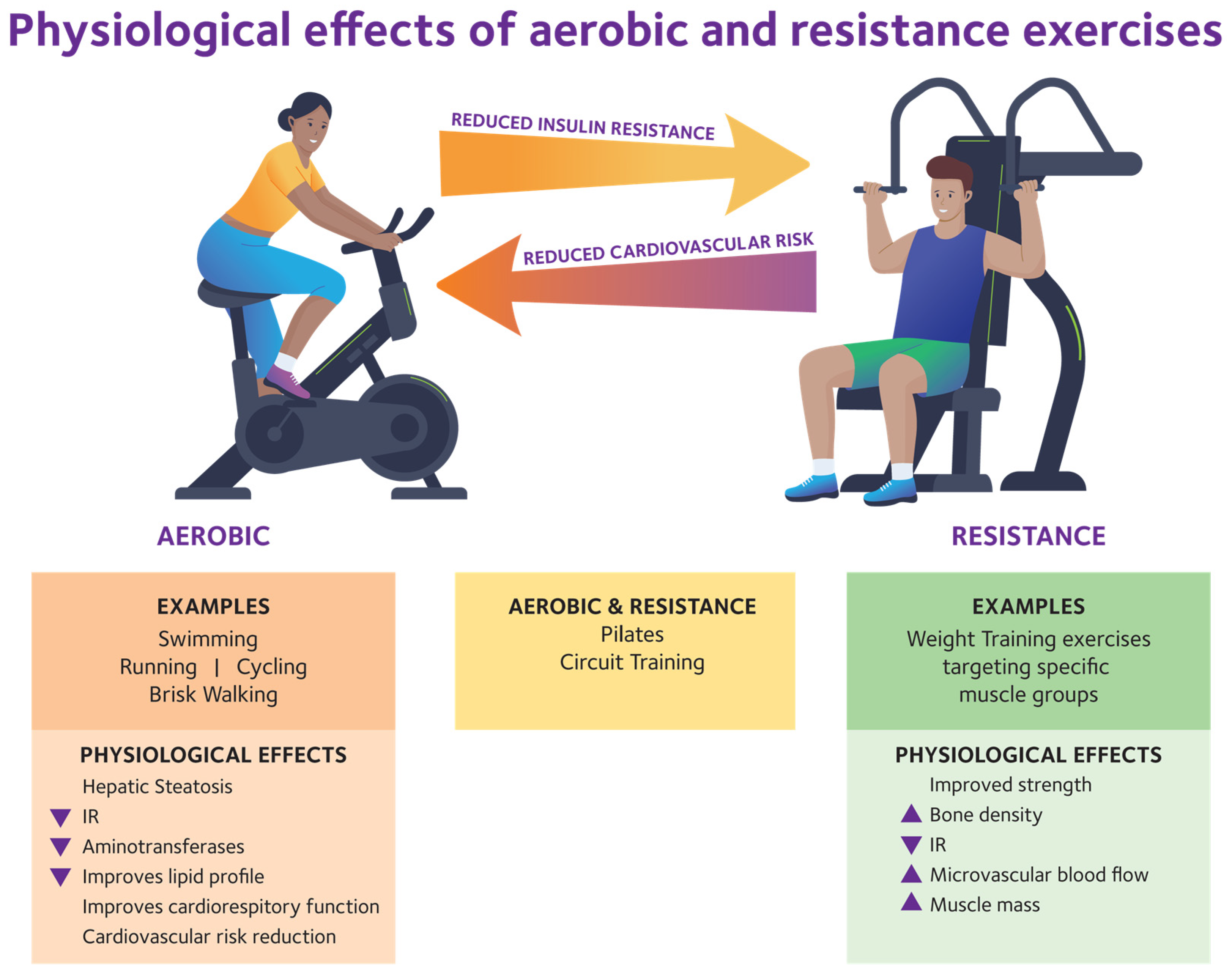 Ijms 26 09625 g003 Ijms 26 09625 g003