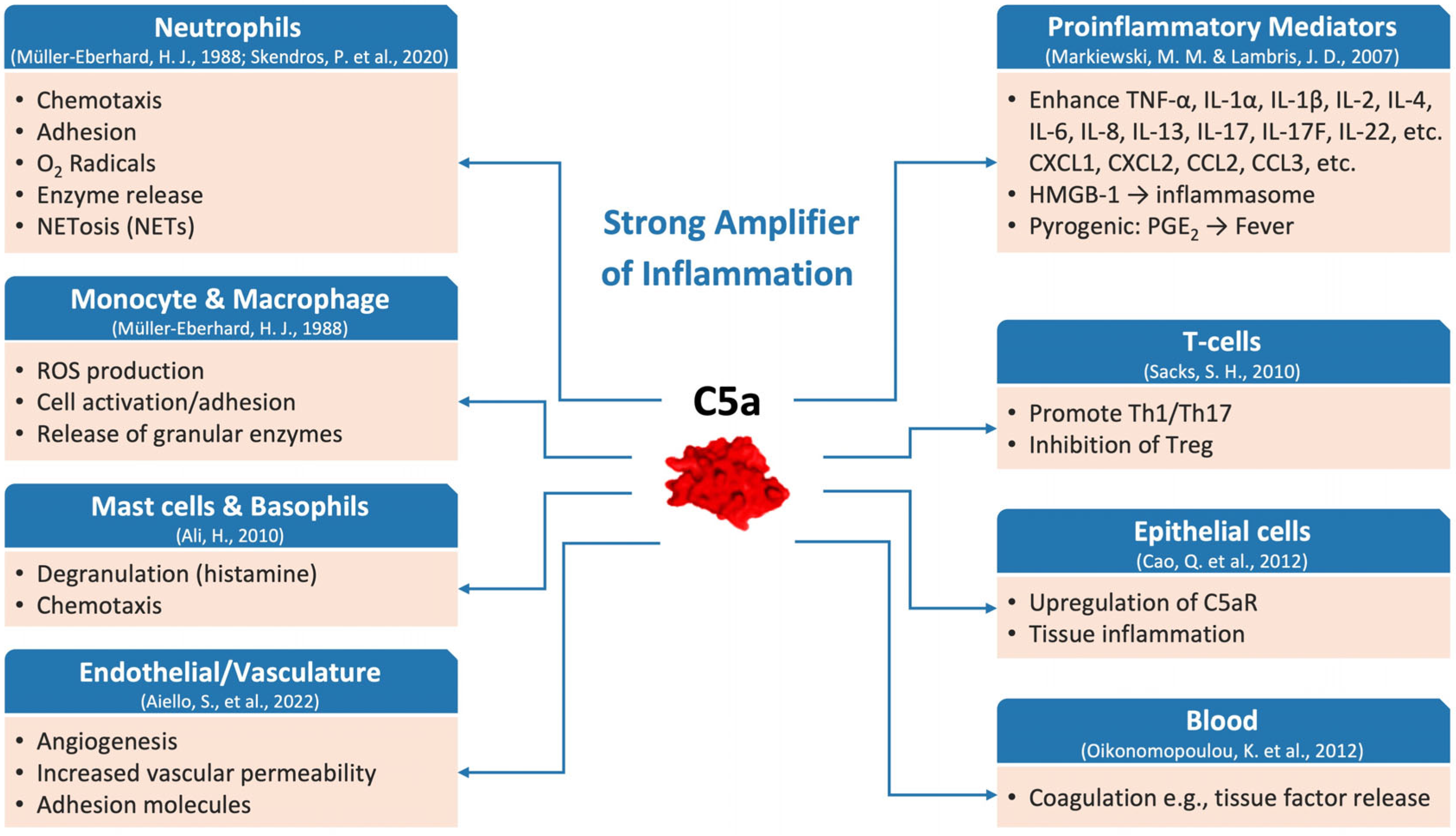 Ijms 26 09628 g002 Ijms 26 09628 g002