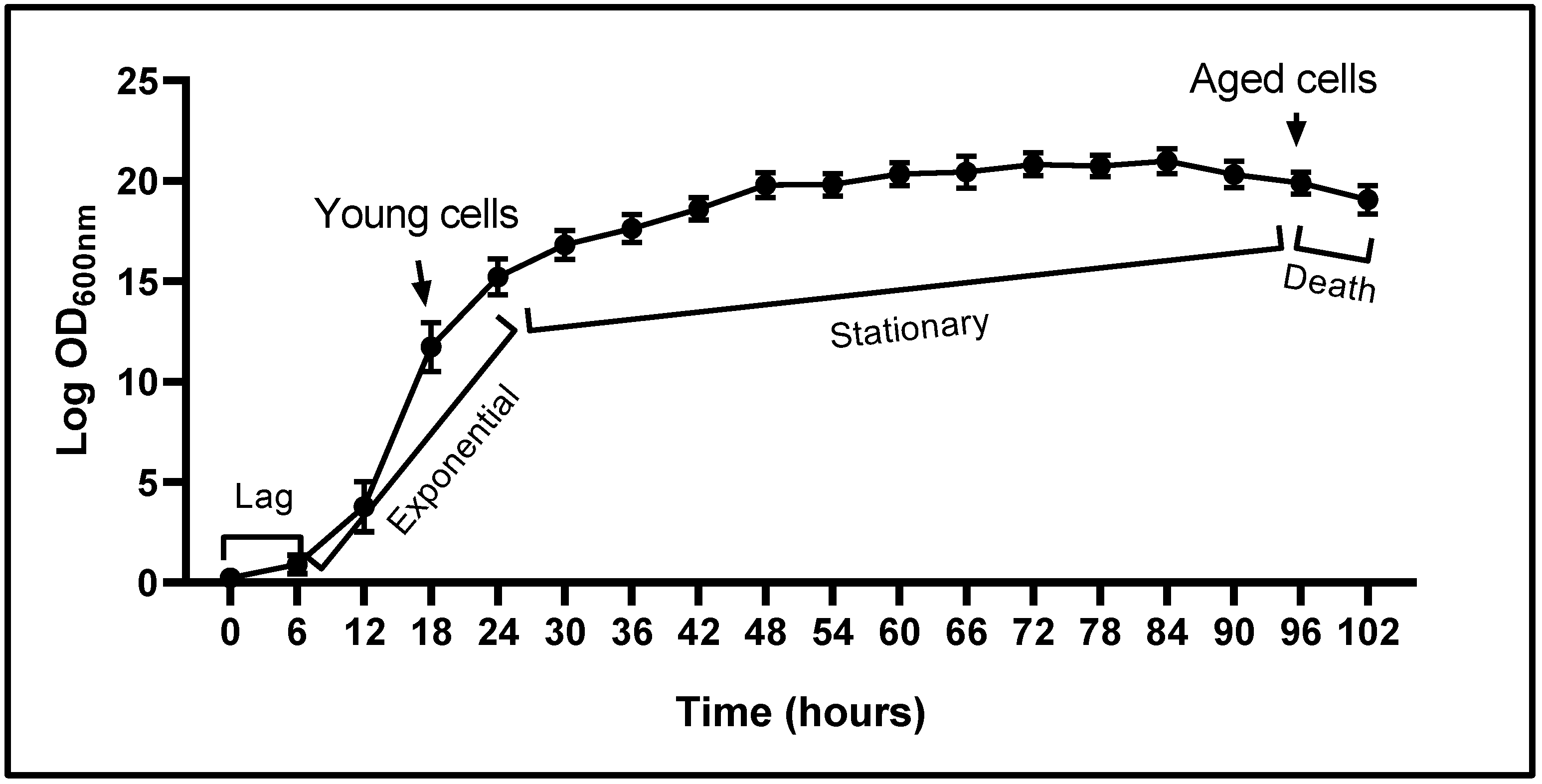Ijms 26 09629 g002 Ijms 26 09629 g002