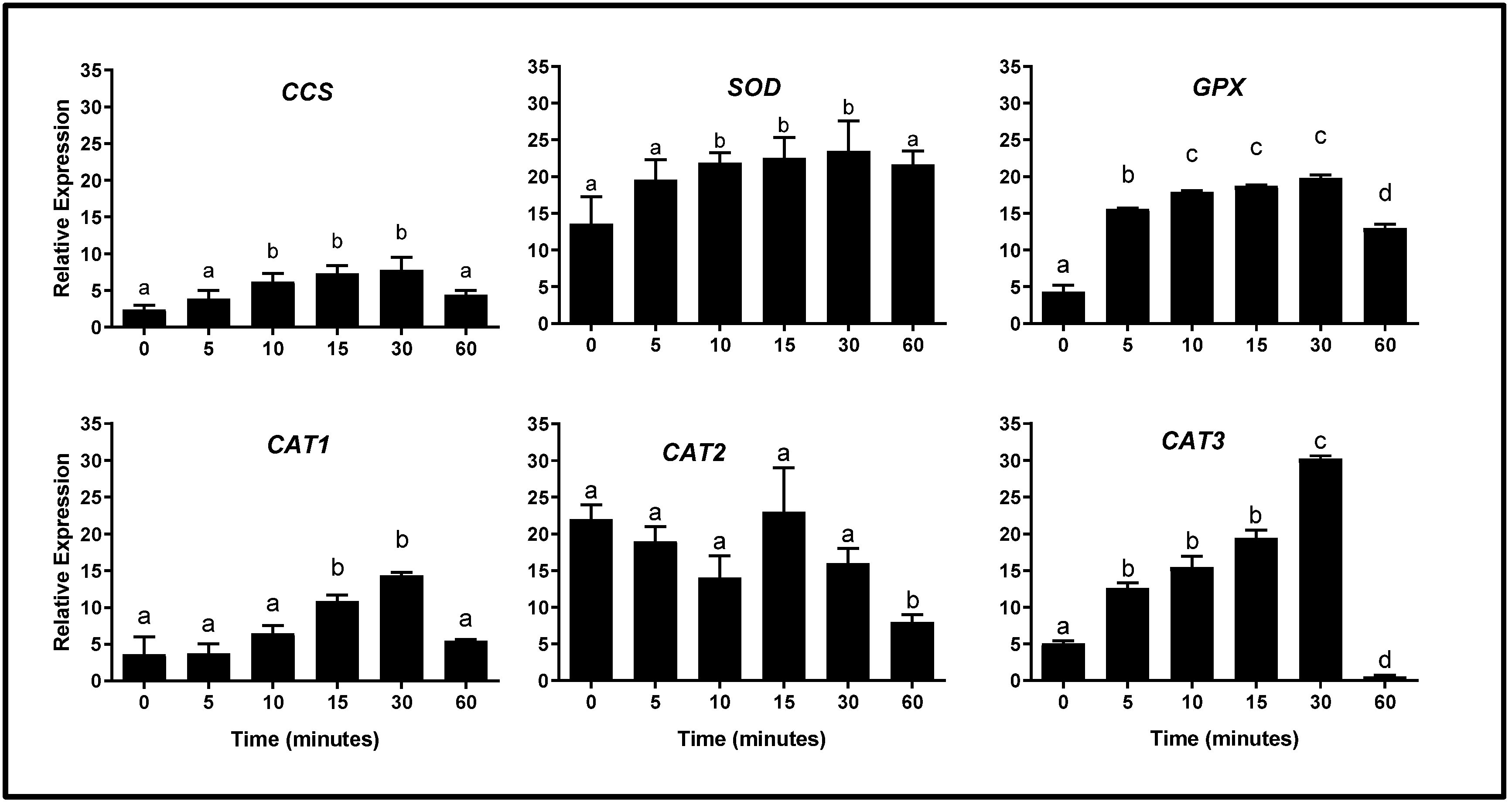 Ijms 26 09629 g003 Ijms 26 09629 g003