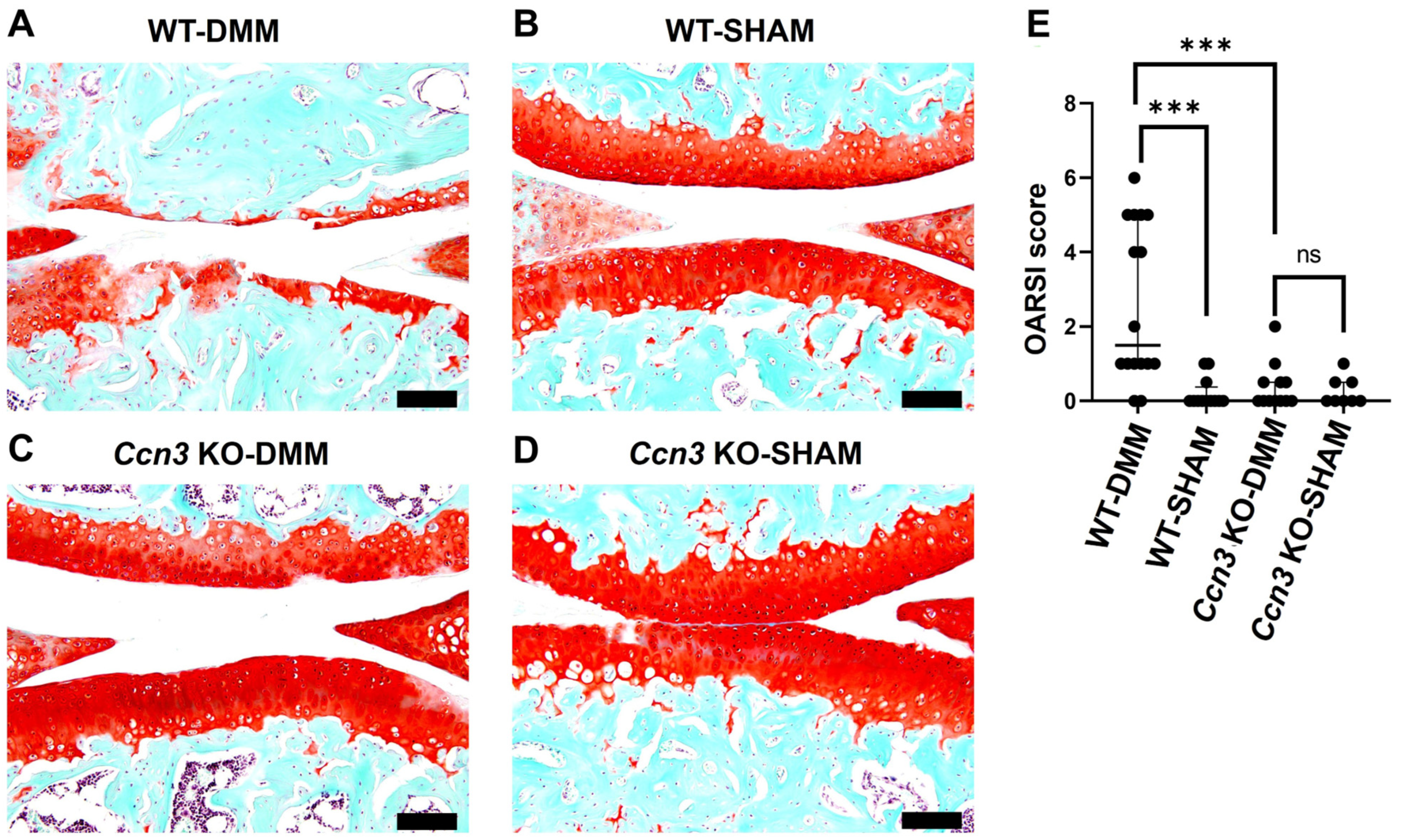Ijms 26 09630 g001 Ijms 26 09630 g001