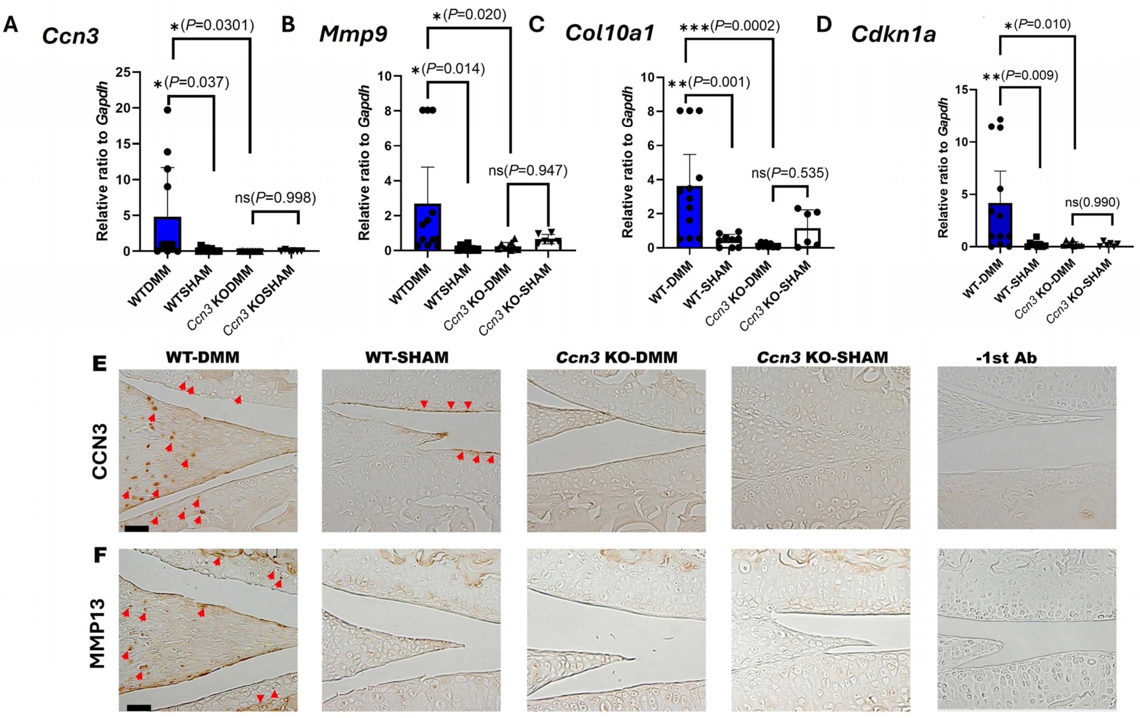 Ijms 26 09630 g002 Ijms 26 09630 g002