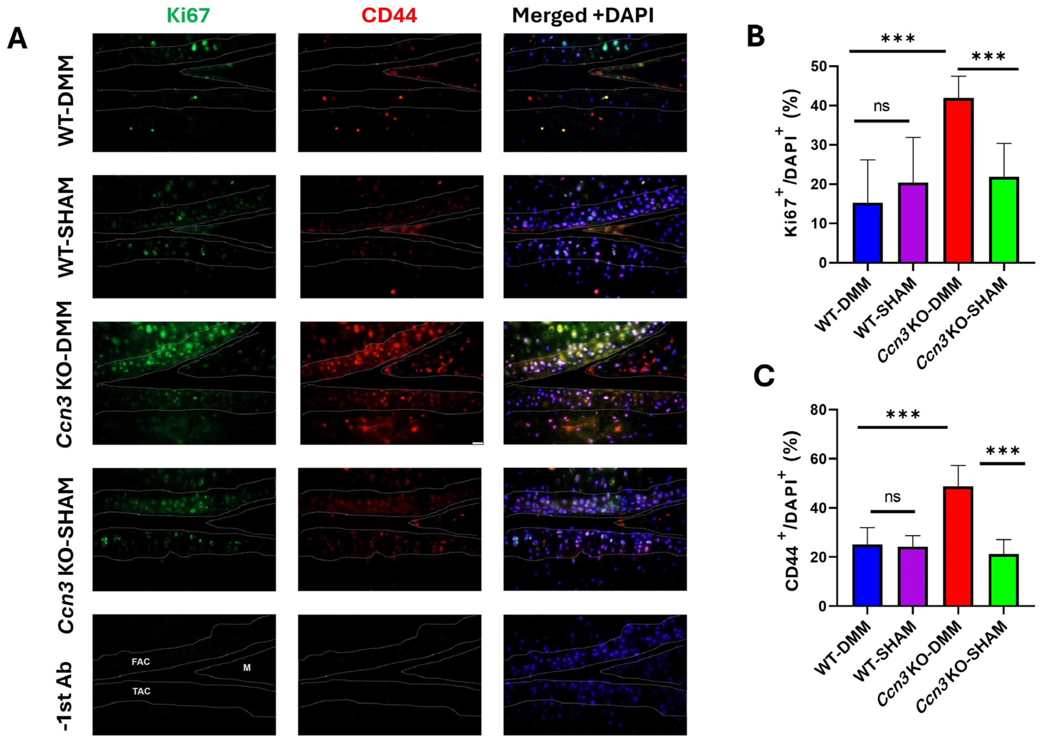 Ijms 26 09630 g005 Ijms 26 09630 g005