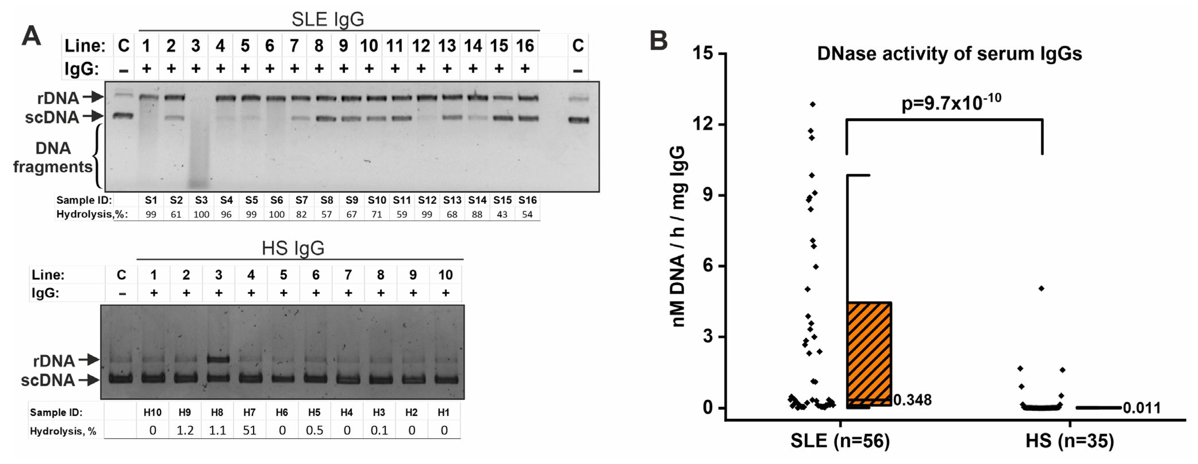 Ijms 26 09635 g001 Ijms 26 09635 g001
