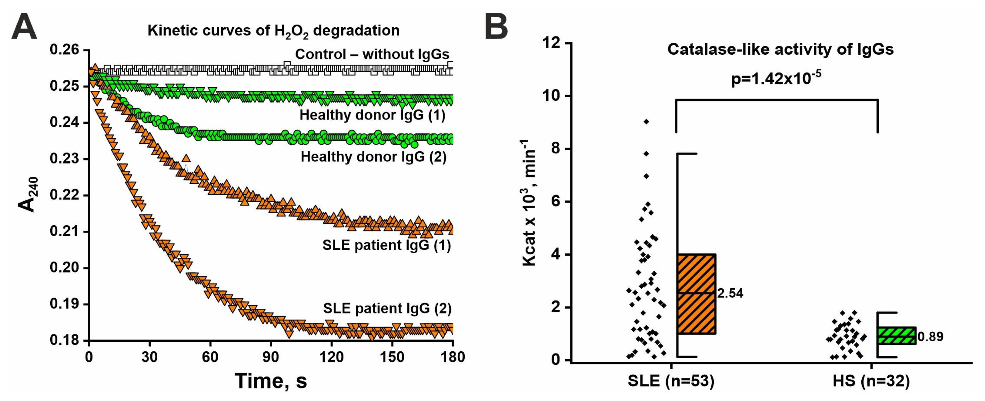 Ijms 26 09635 g004 Ijms 26 09635 g004