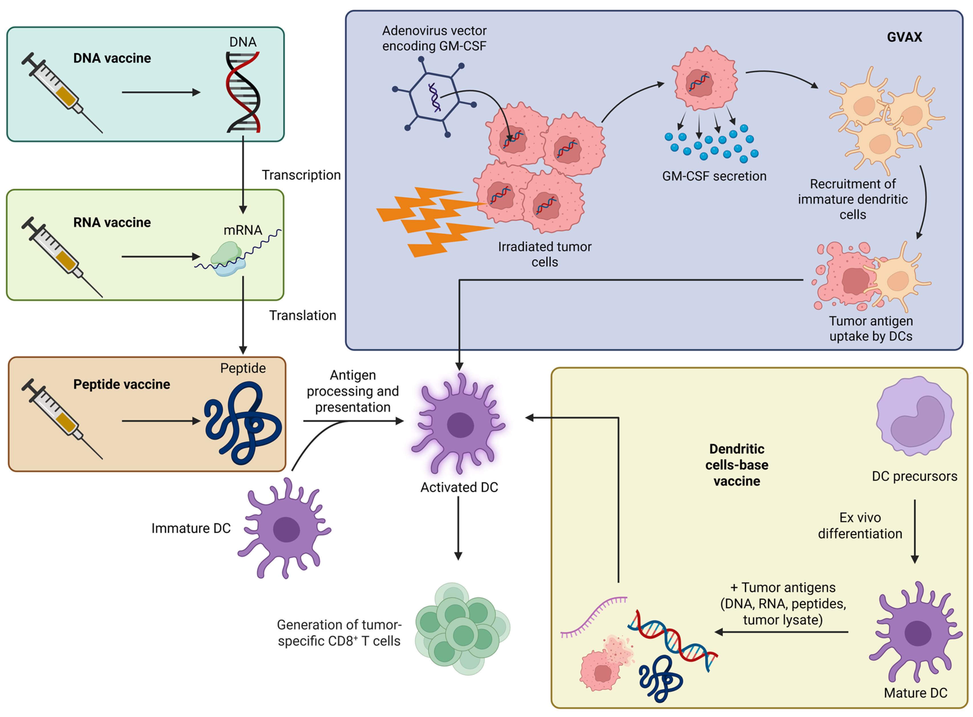 Ijms 26 09640 g003 Ijms 26 09640 g003