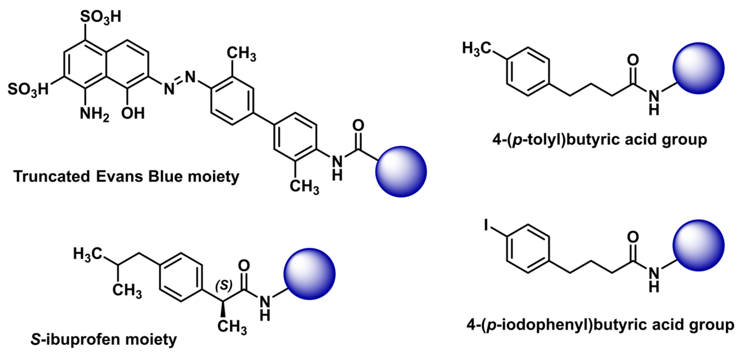 Ijms 26 09642 g001 Ijms 26 09642 g001
