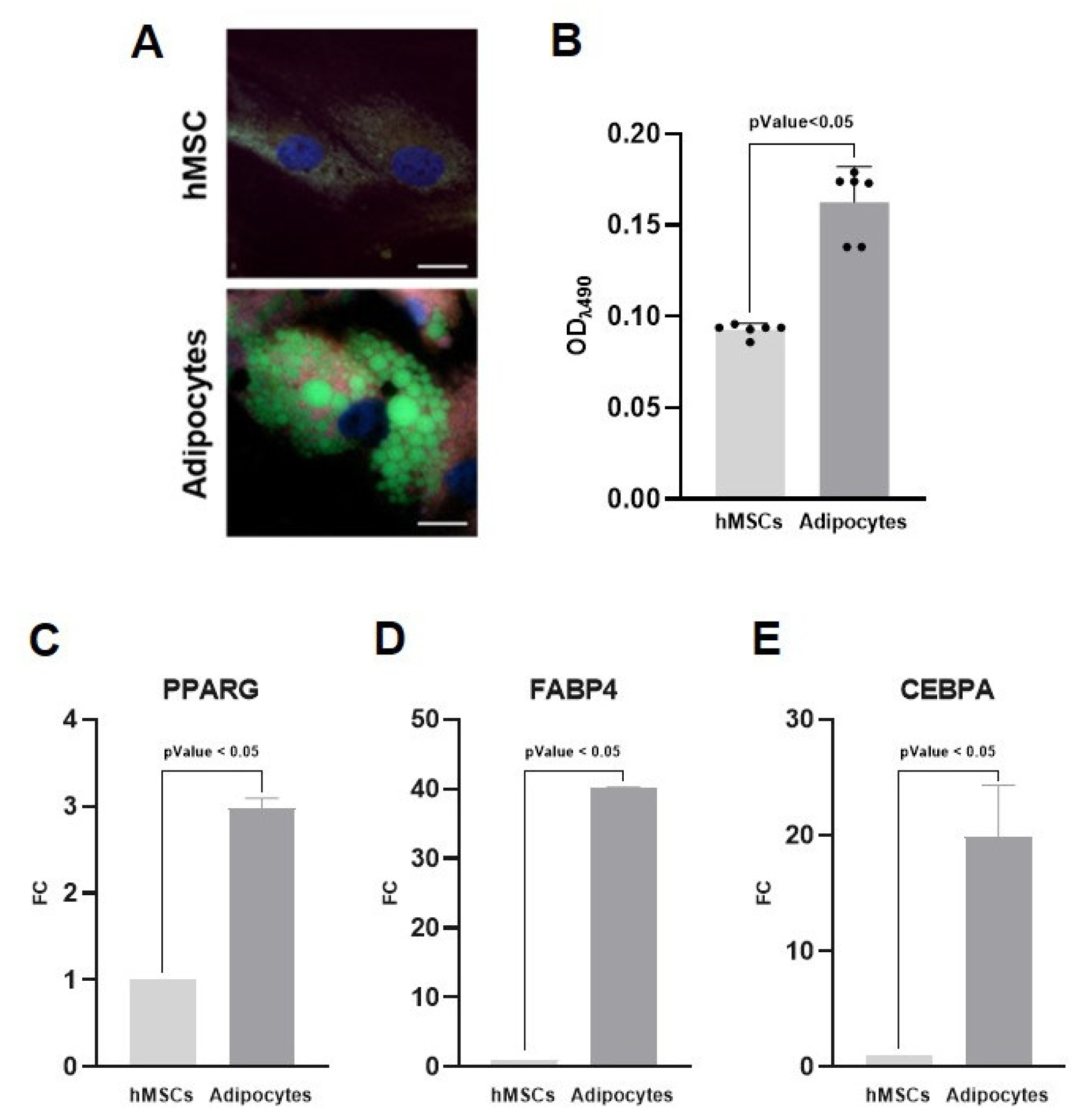 Ijms 26 09666 g001 Ijms 26 09666 g001