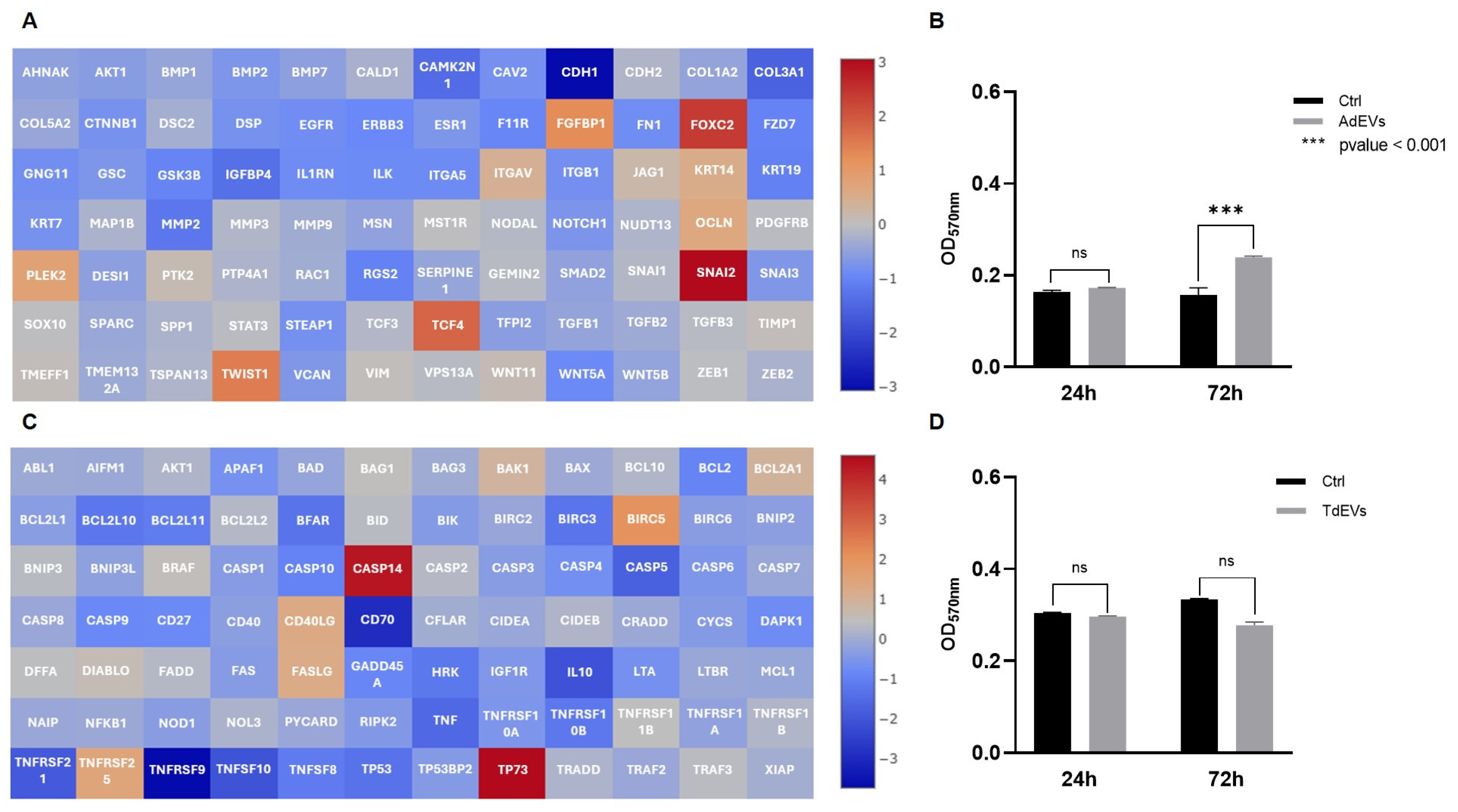 Ijms 26 09666 g004 Ijms 26 09666 g004