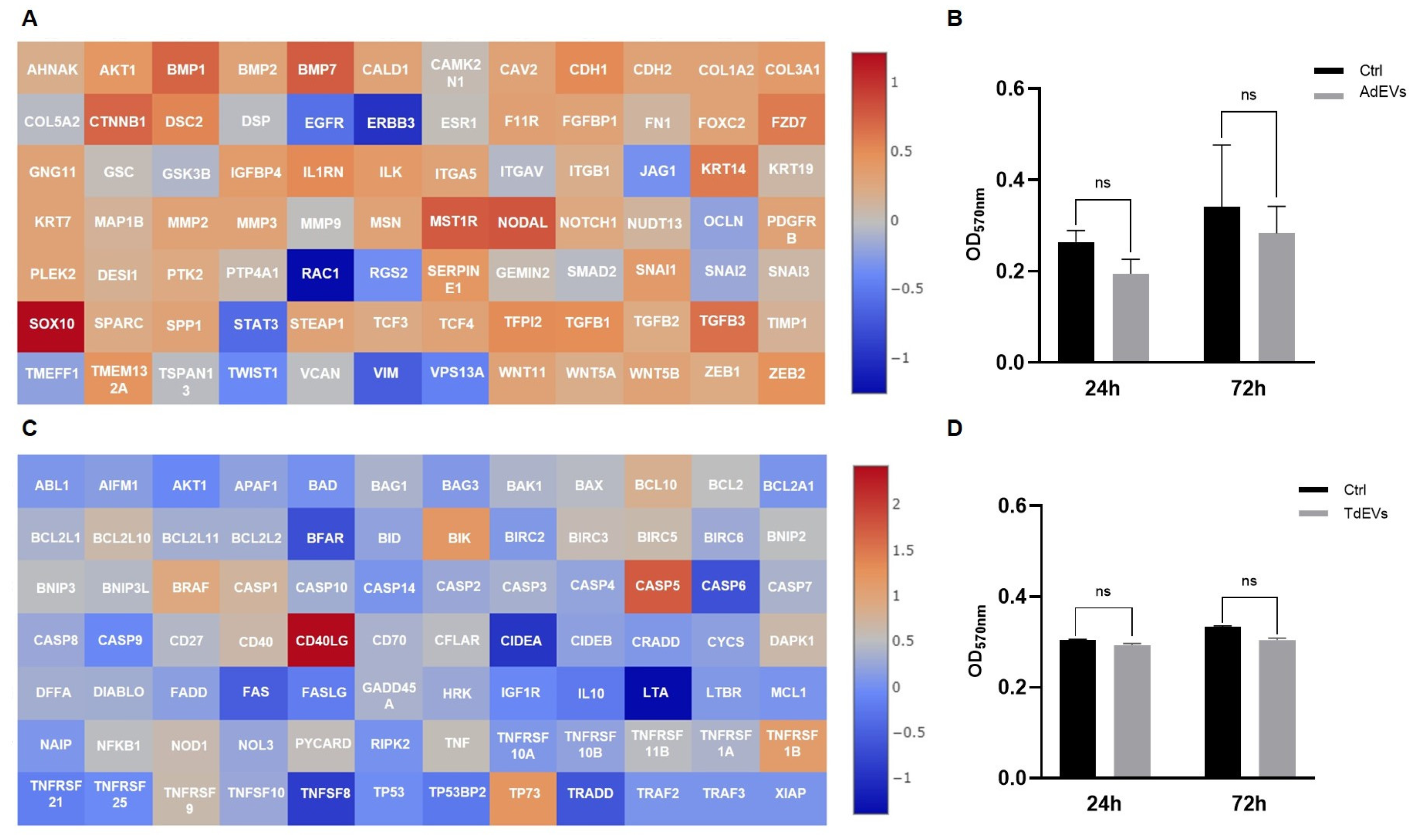 Ijms 26 09666 g005 Ijms 26 09666 g005