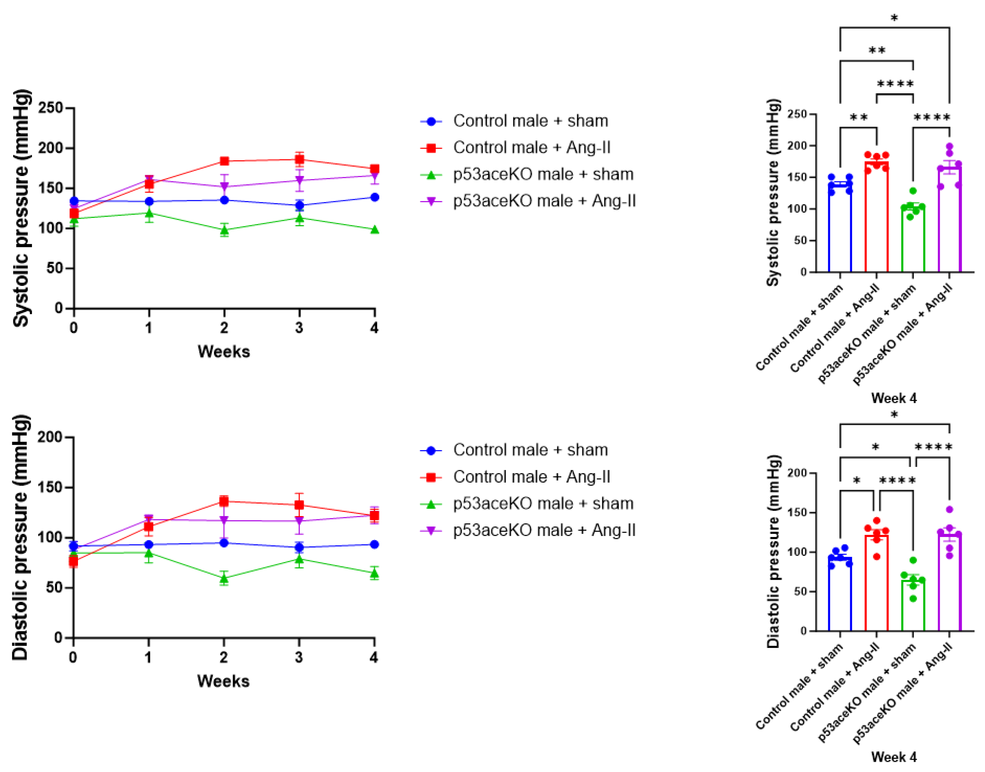Ijms 26 09668 g001 Ijms 26 09668 g001