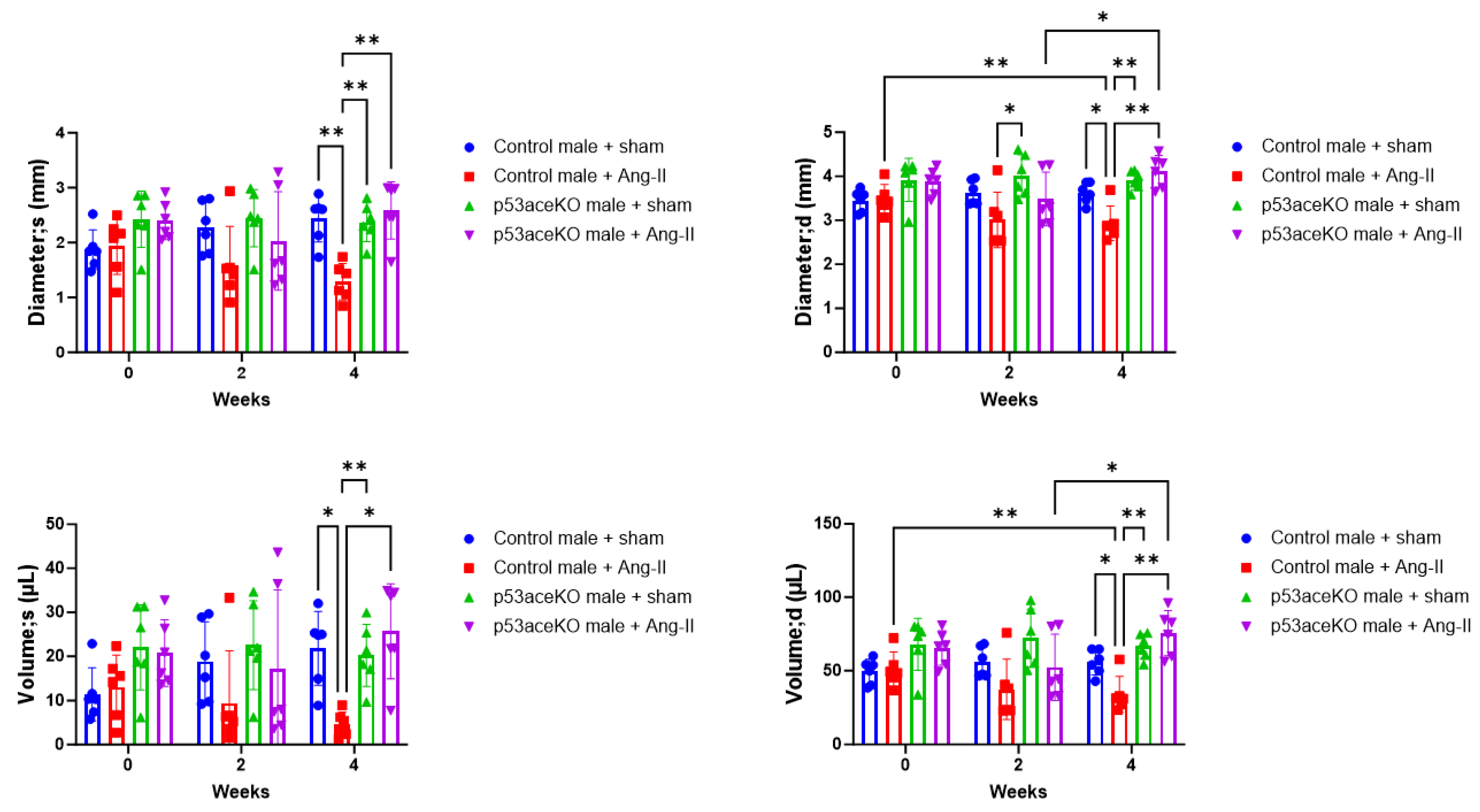 Ijms 26 09668 g004 Ijms 26 09668 g004