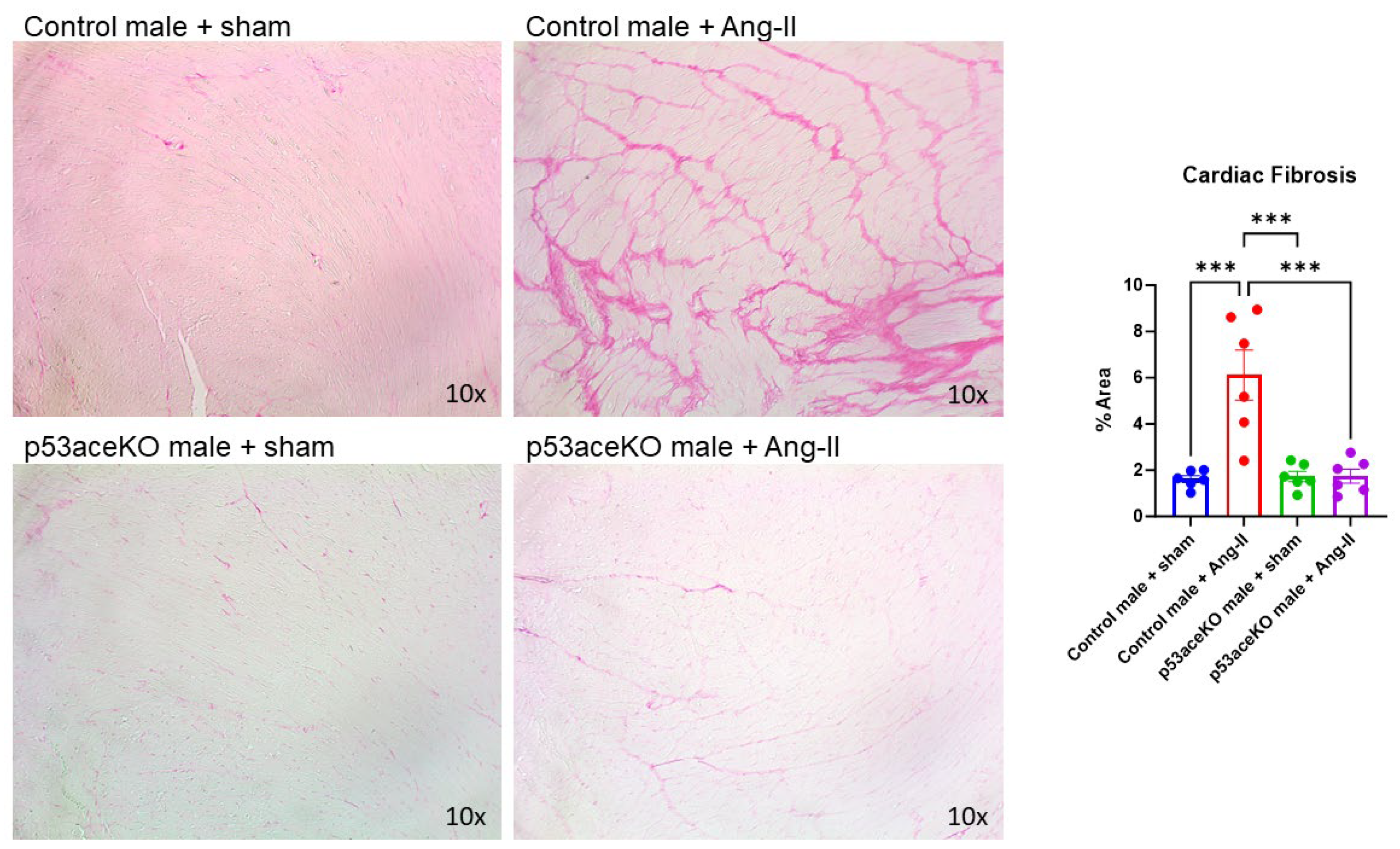 Ijms 26 09668 g005 Ijms 26 09668 g005