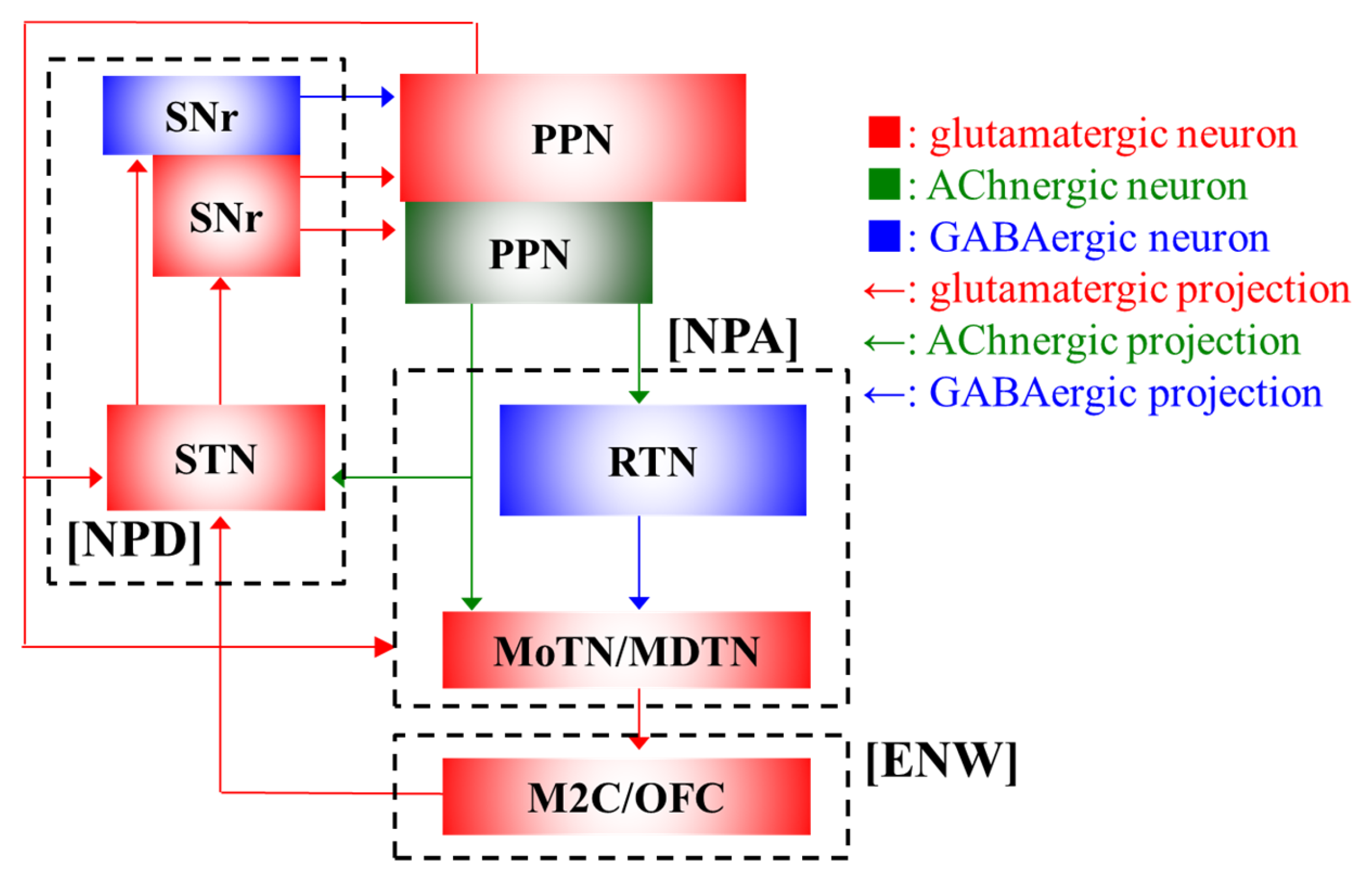 Ijms 26 09671 g001 Ijms 26 09671 g001