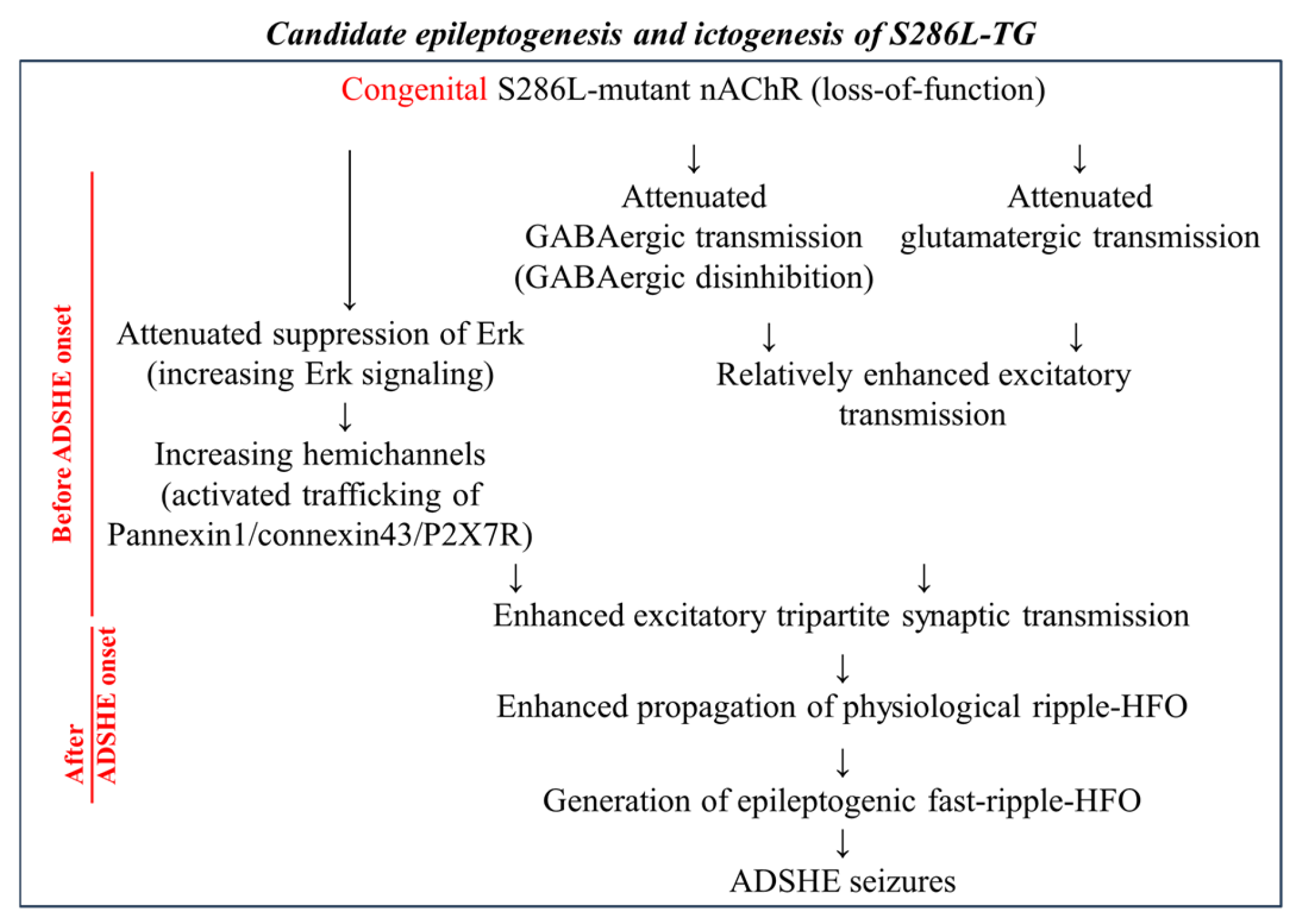 Ijms 26 09671 g002 Ijms 26 09671 g002