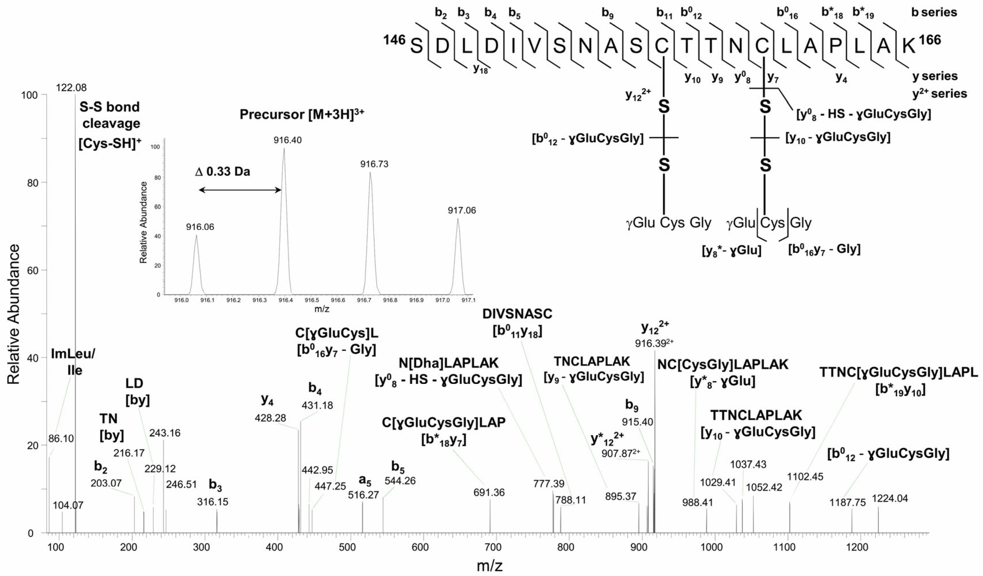 Ijms 26 09673 g002 Ijms 26 09673 g002
