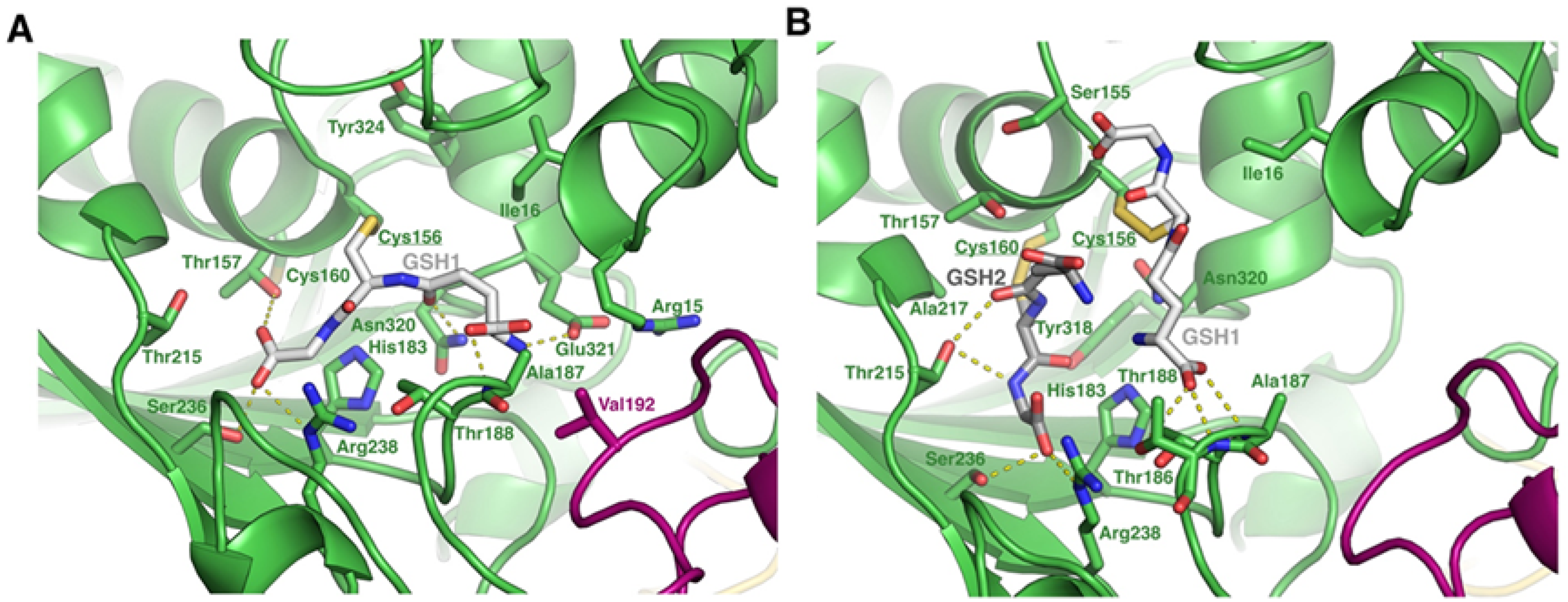 Ijms 26 09673 g004 Ijms 26 09673 g004