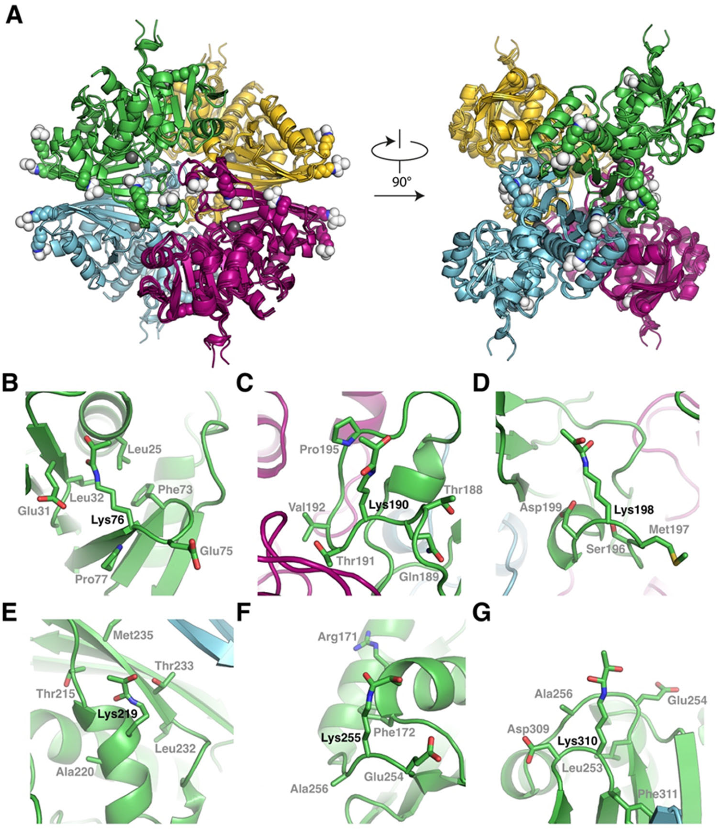 Ijms 26 09673 g005 Ijms 26 09673 g005