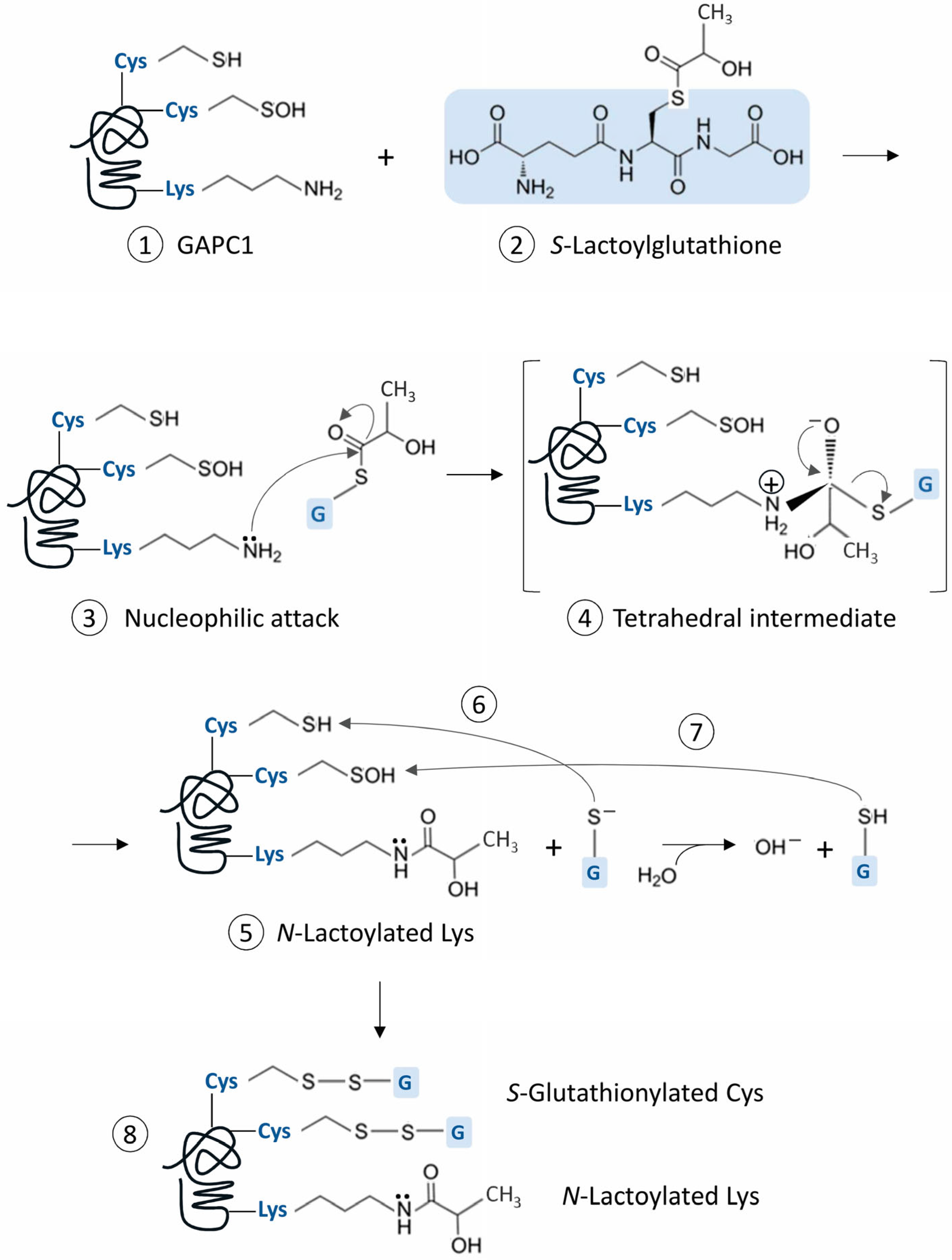 Ijms 26 09673 g007 Ijms 26 09673 g007