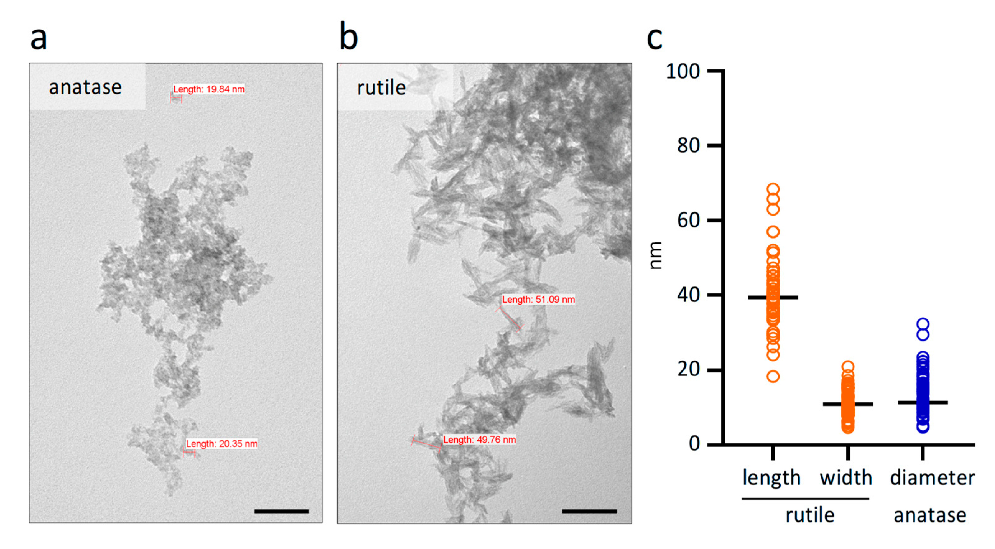 Ijms 26 09684 g001 Ijms 26 09684 g001