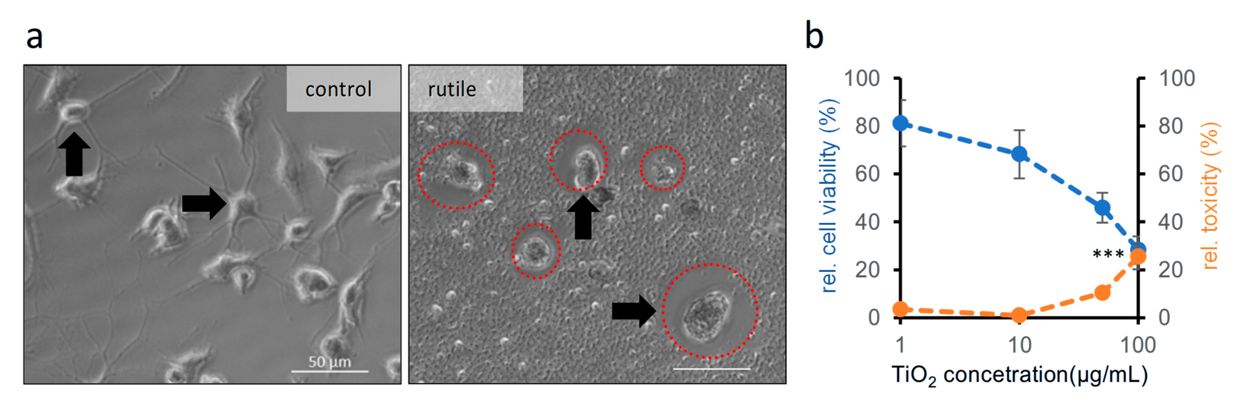 Ijms 26 09684 g006 Ijms 26 09684 g006