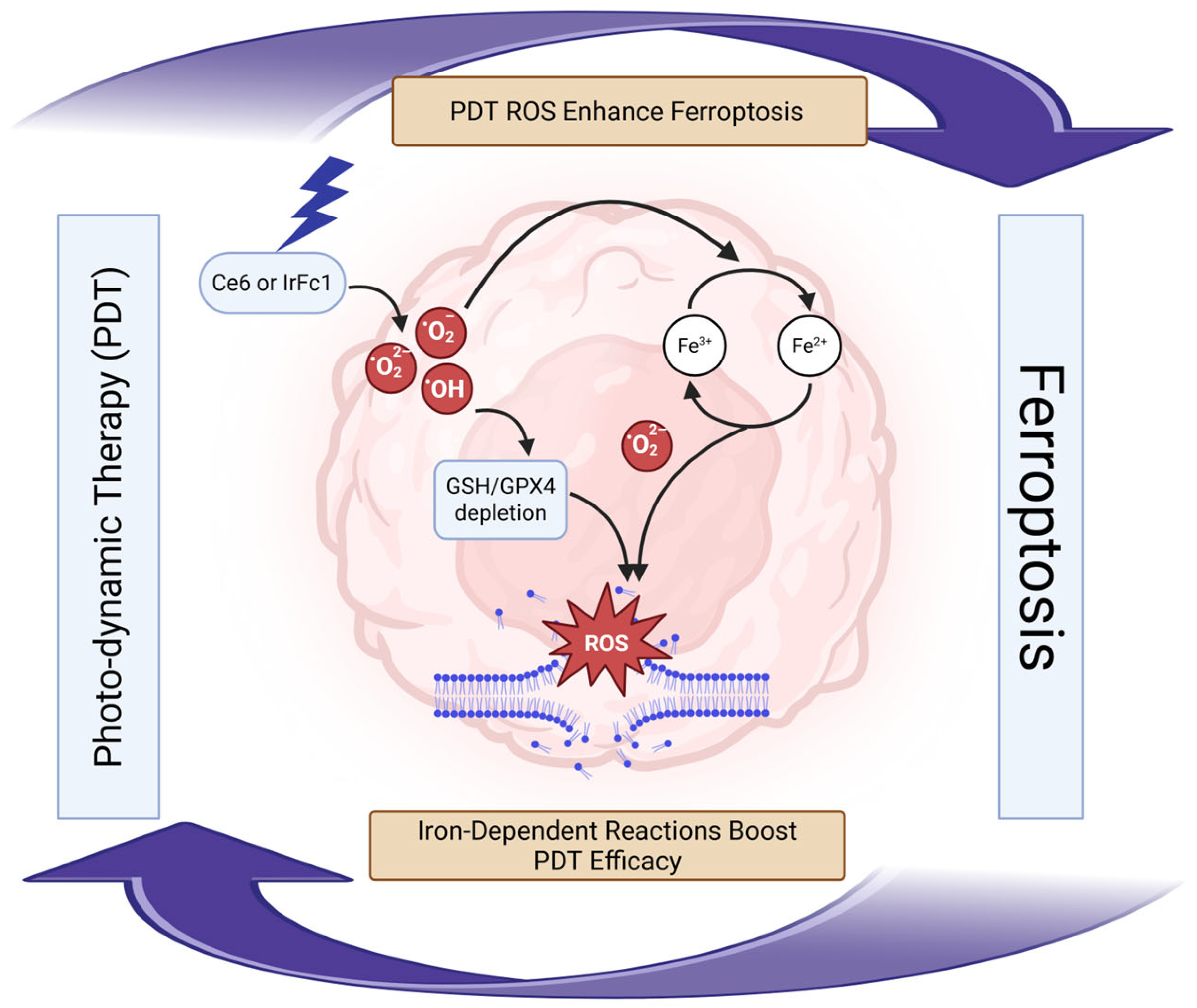 Ijms 26 09686 g004 Ijms 26 09686 g004