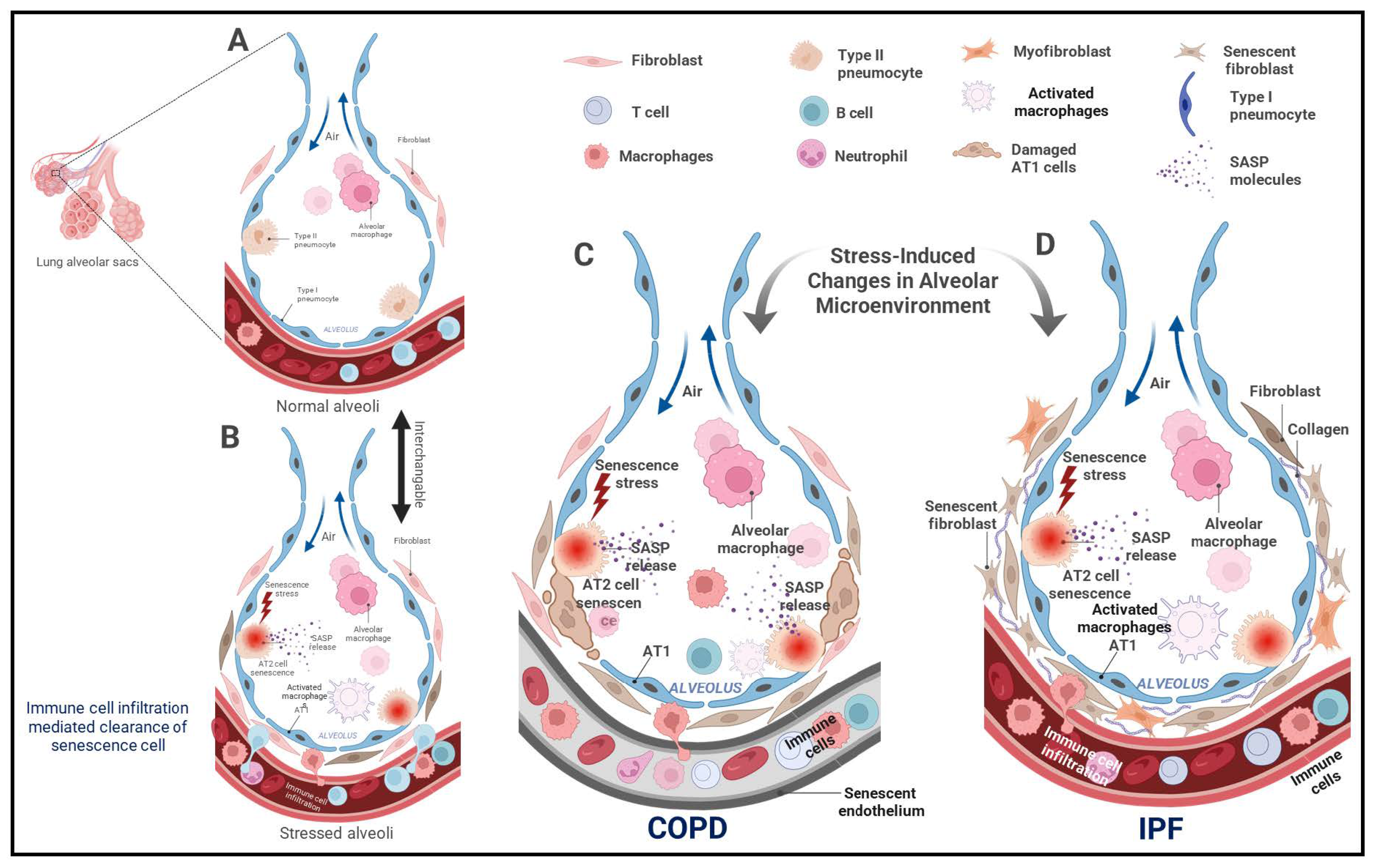 Ijms 26 09687 g001 Ijms 26 09687 g001