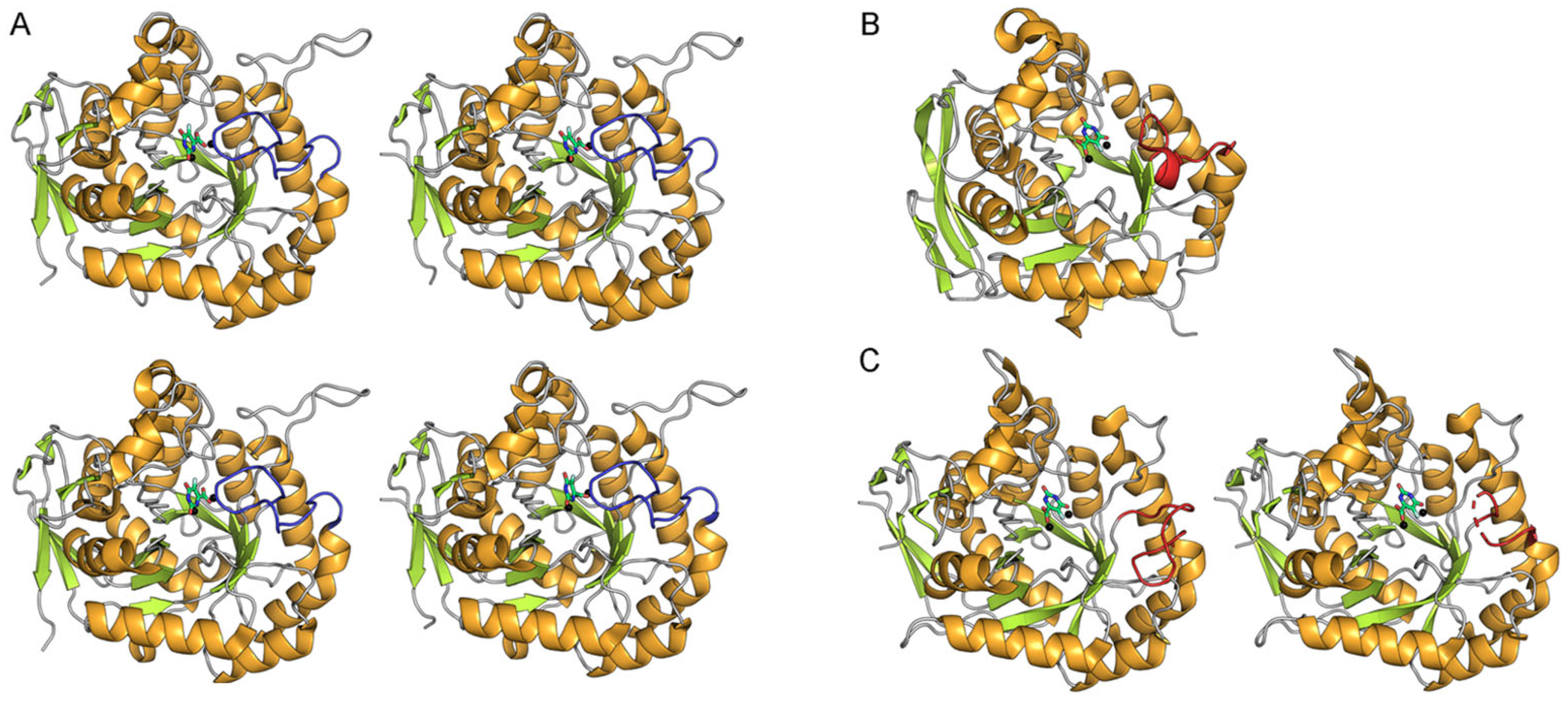 Ijms 26 09688 g003 Ijms 26 09688 g003