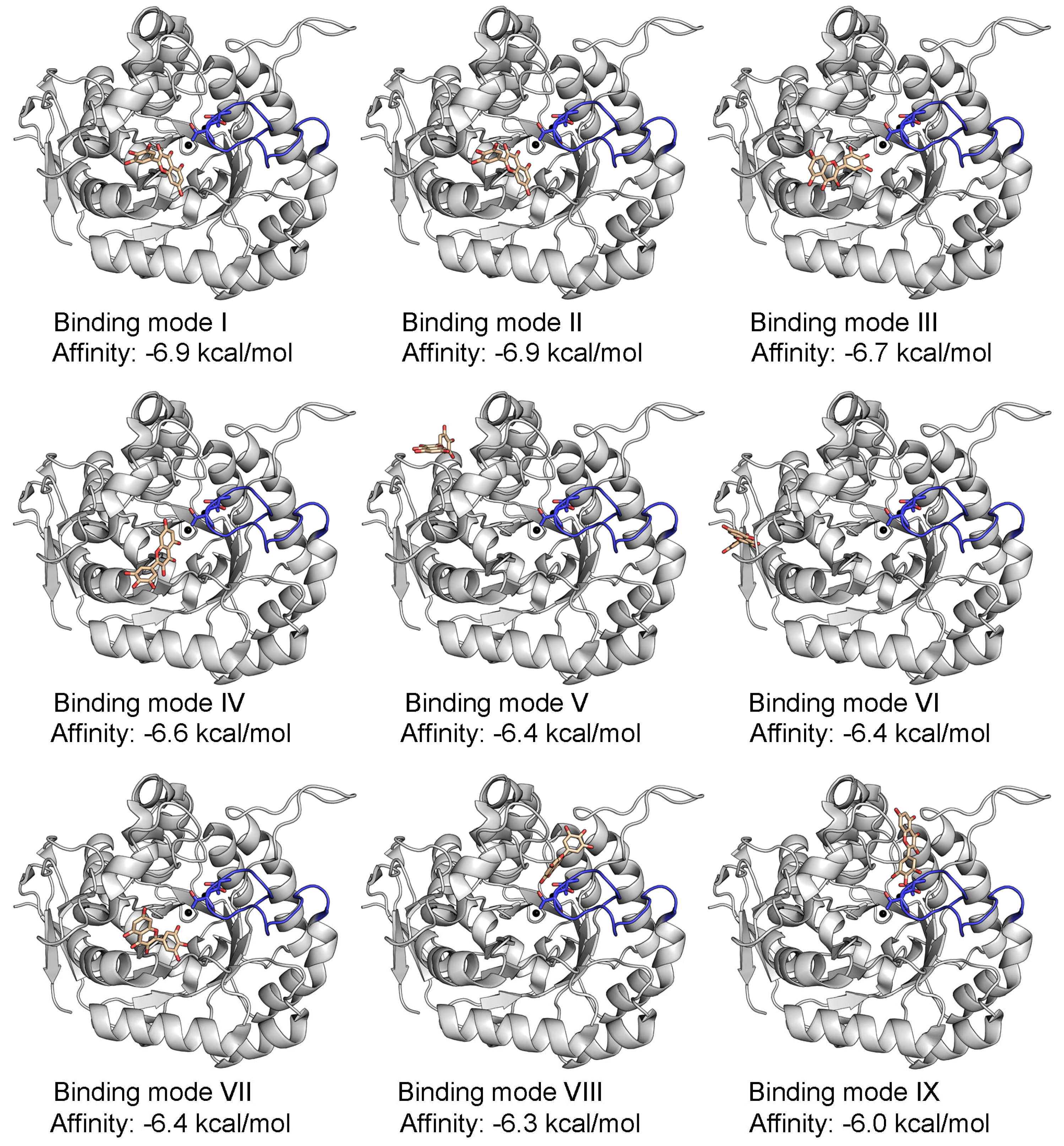 Ijms 26 09688 g005 Ijms 26 09688 g005